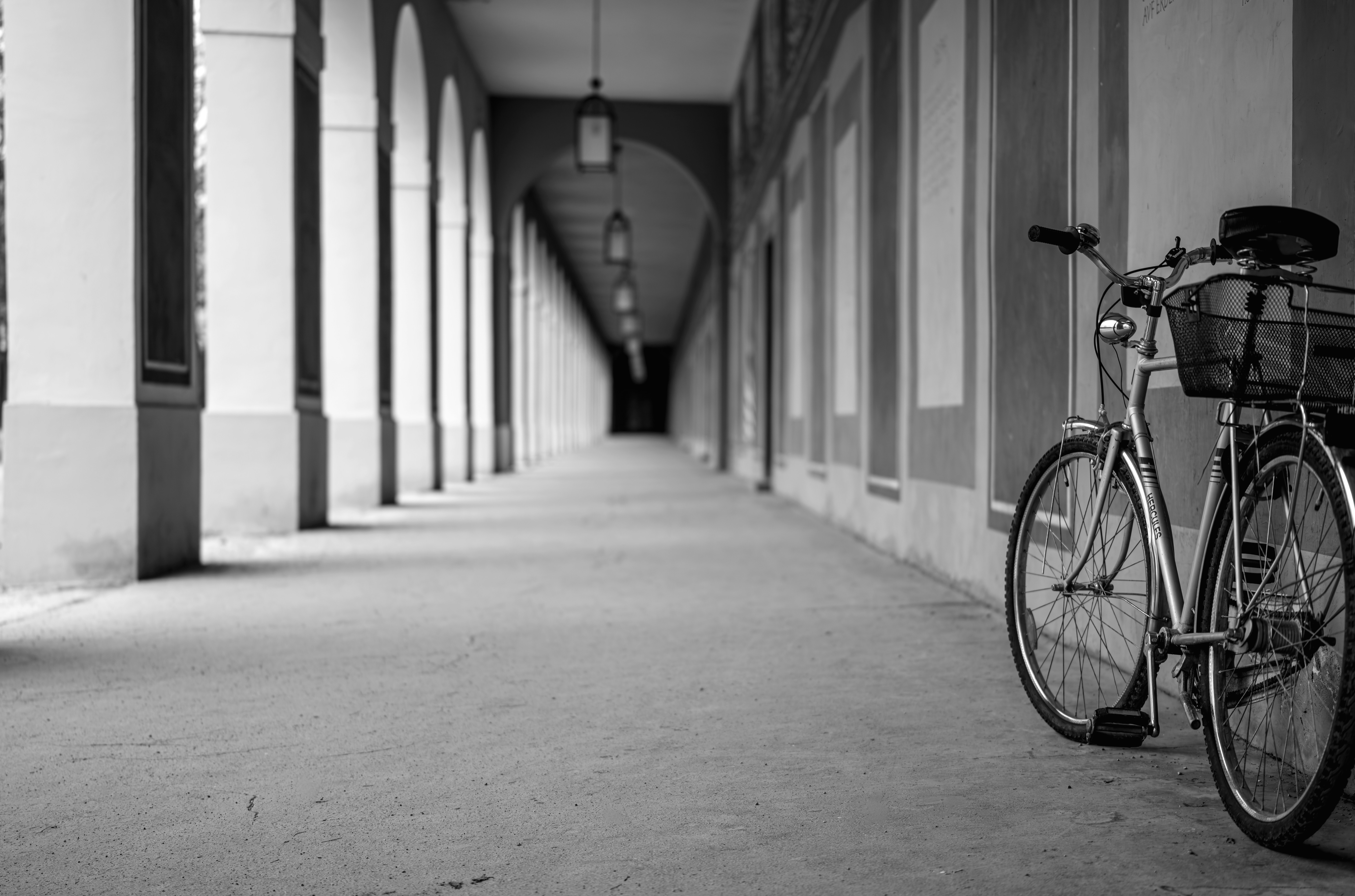 Photo by dieter_muenchen