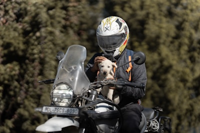 A person on a motorcycle with a dog