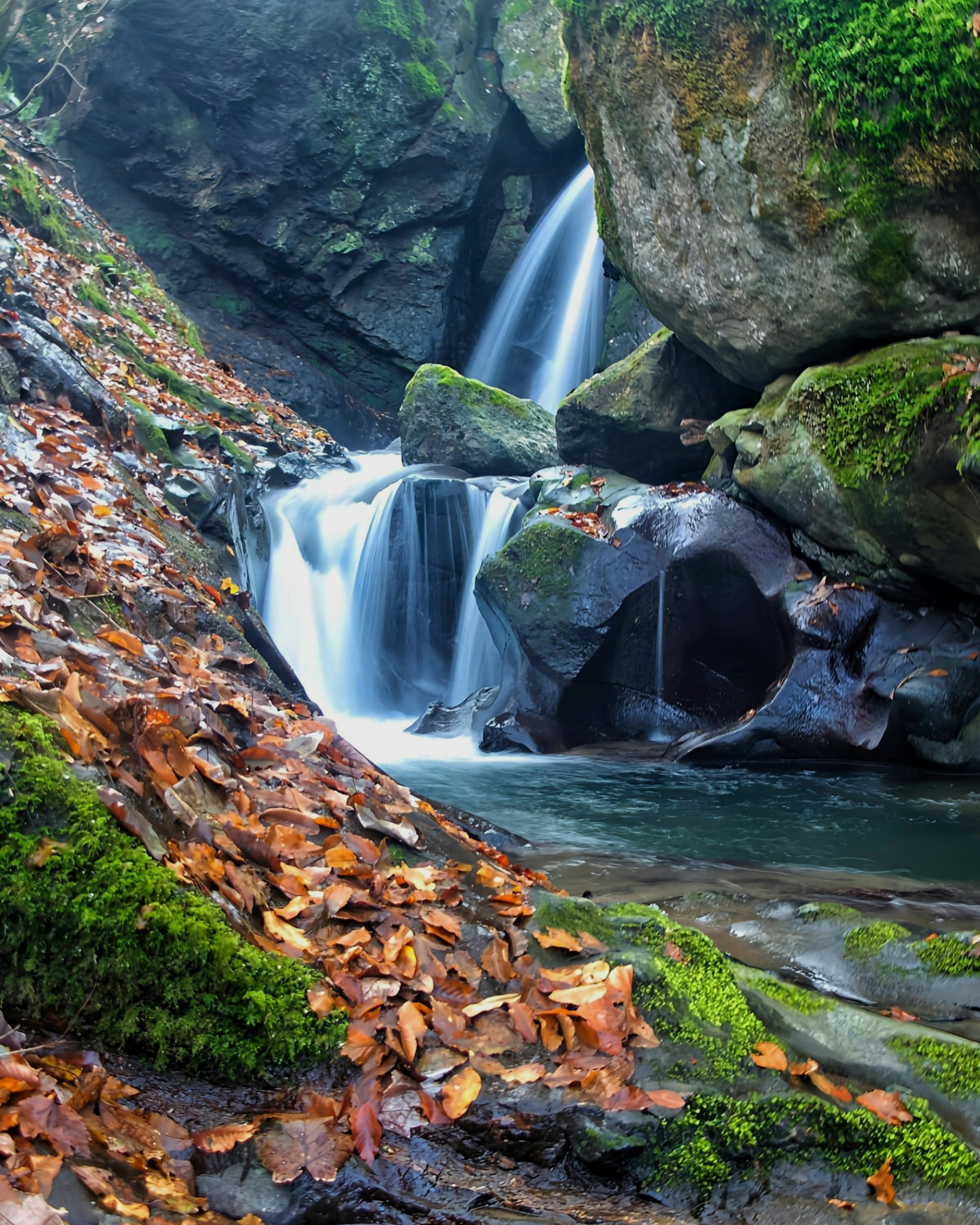 A small waterfall in the middle of a forest
