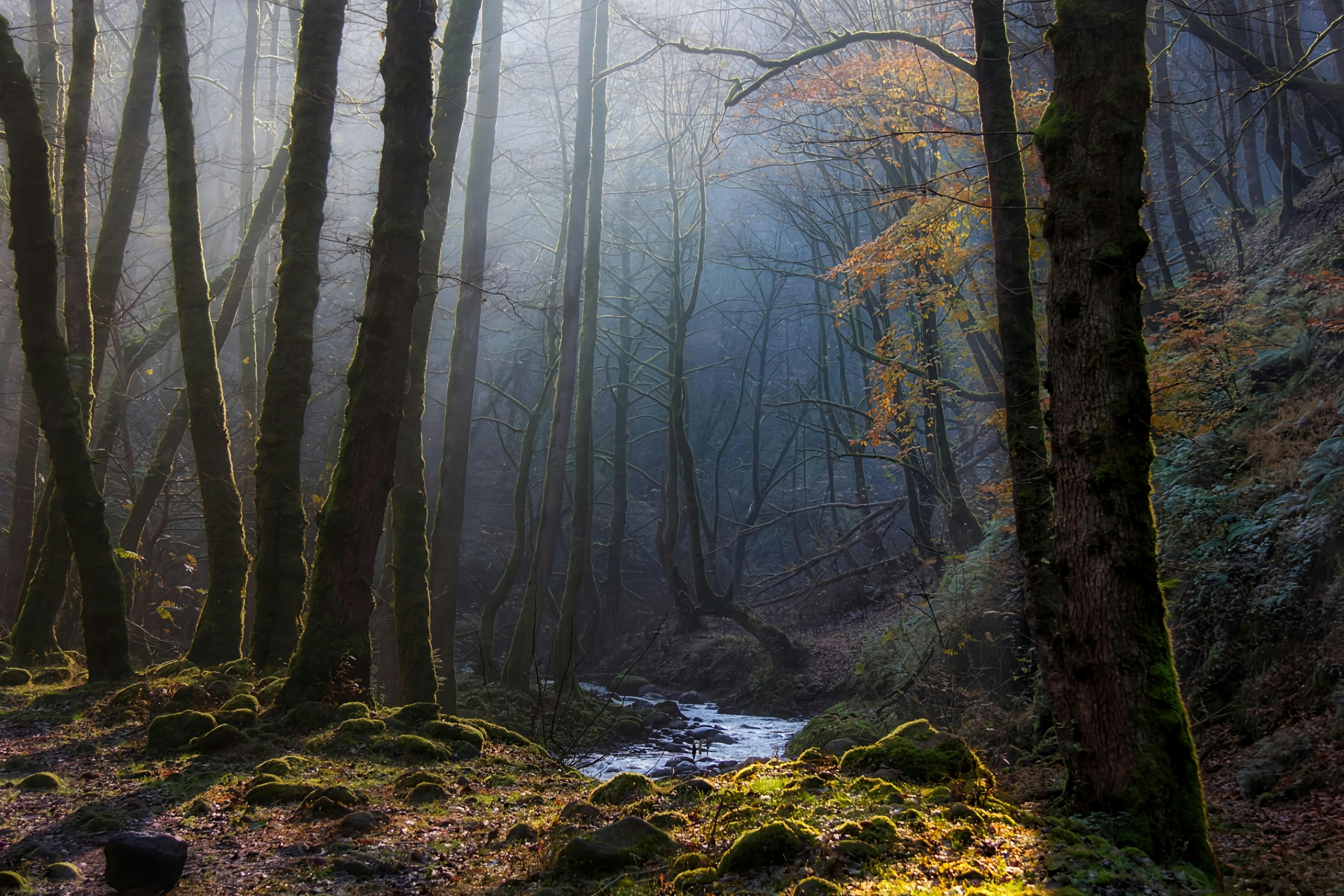 Photo by moradimaghsoud