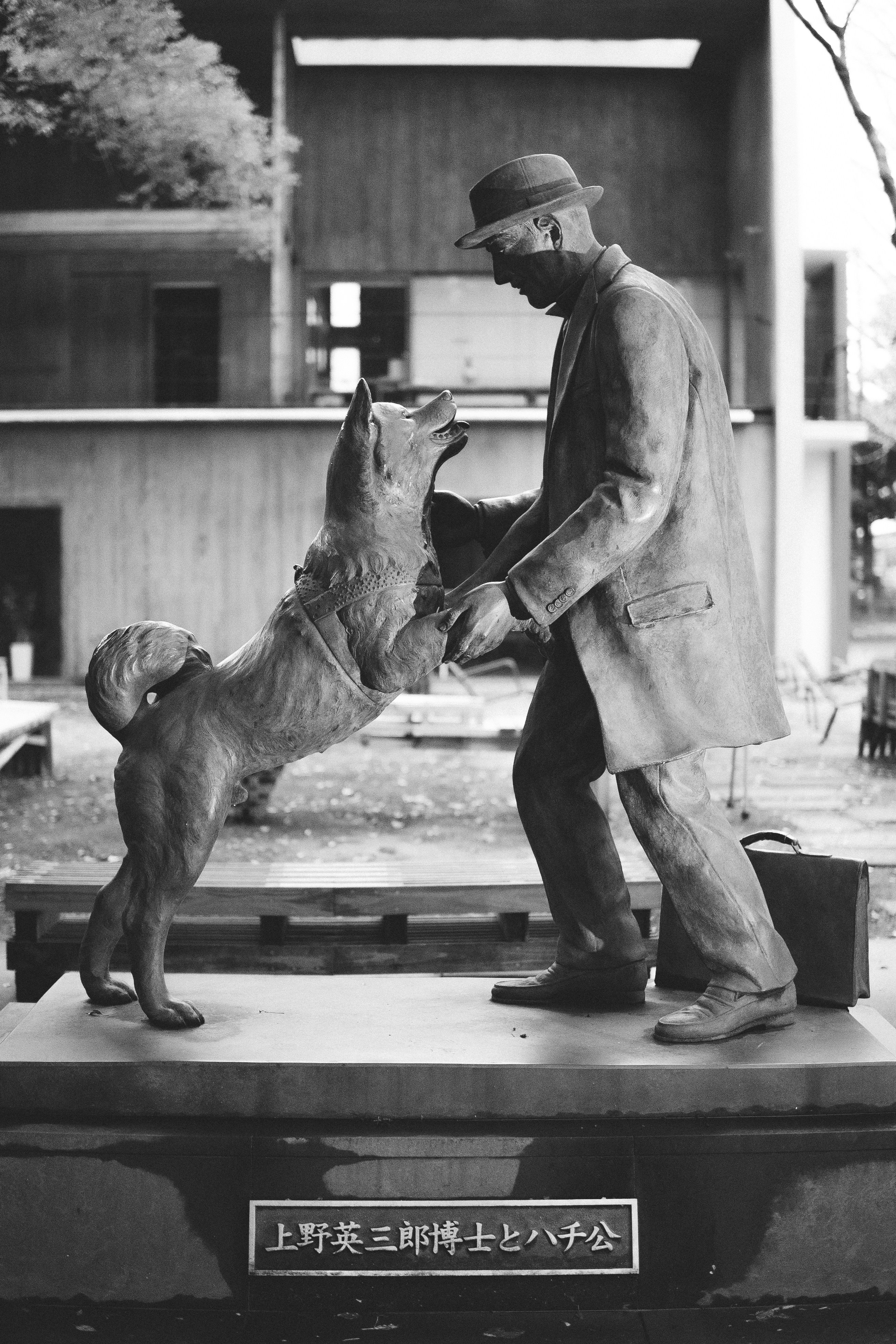 Image of David Baron working with a service dog at the Service Dog School of America