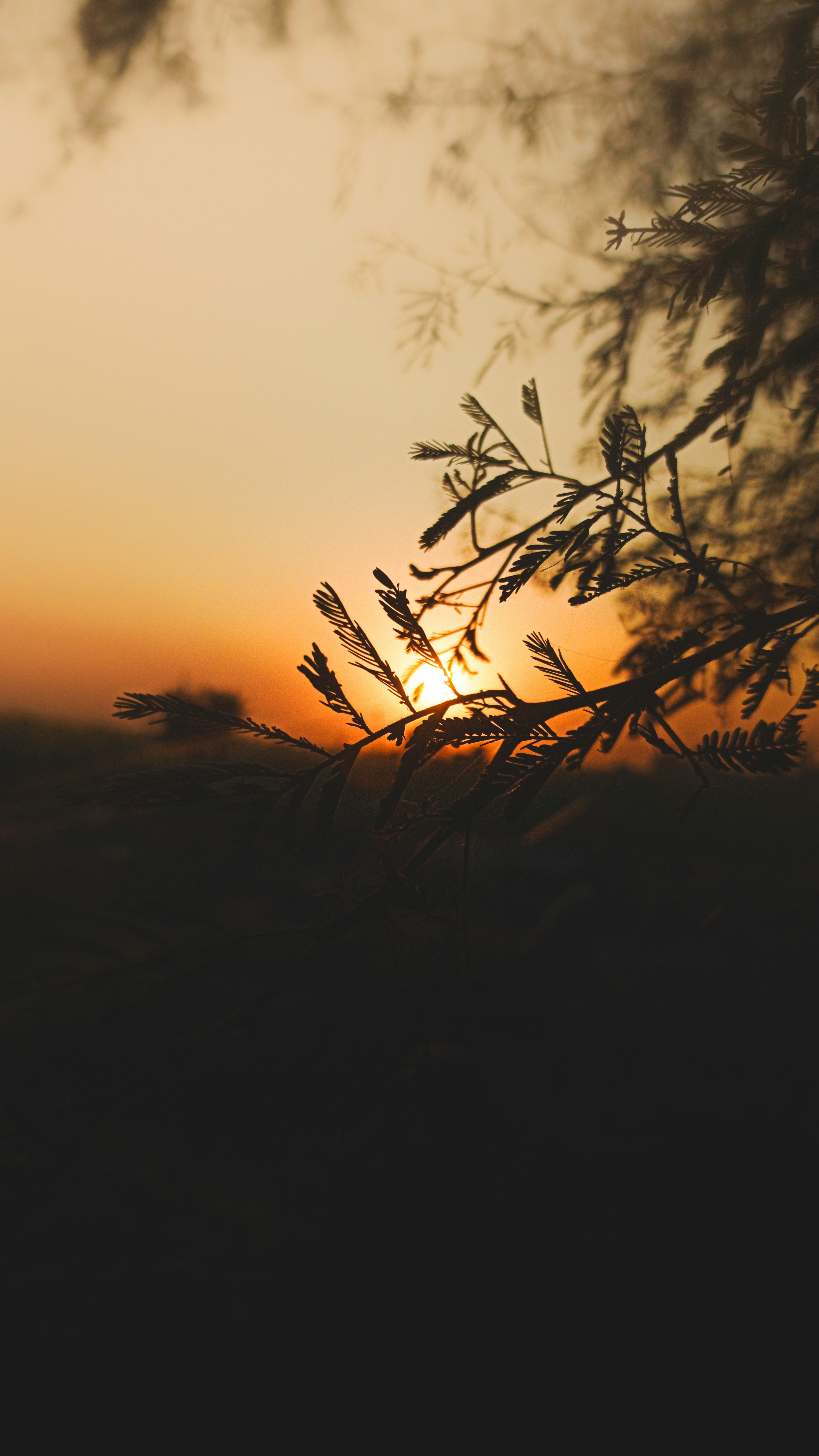 Photo by fukw0314_88