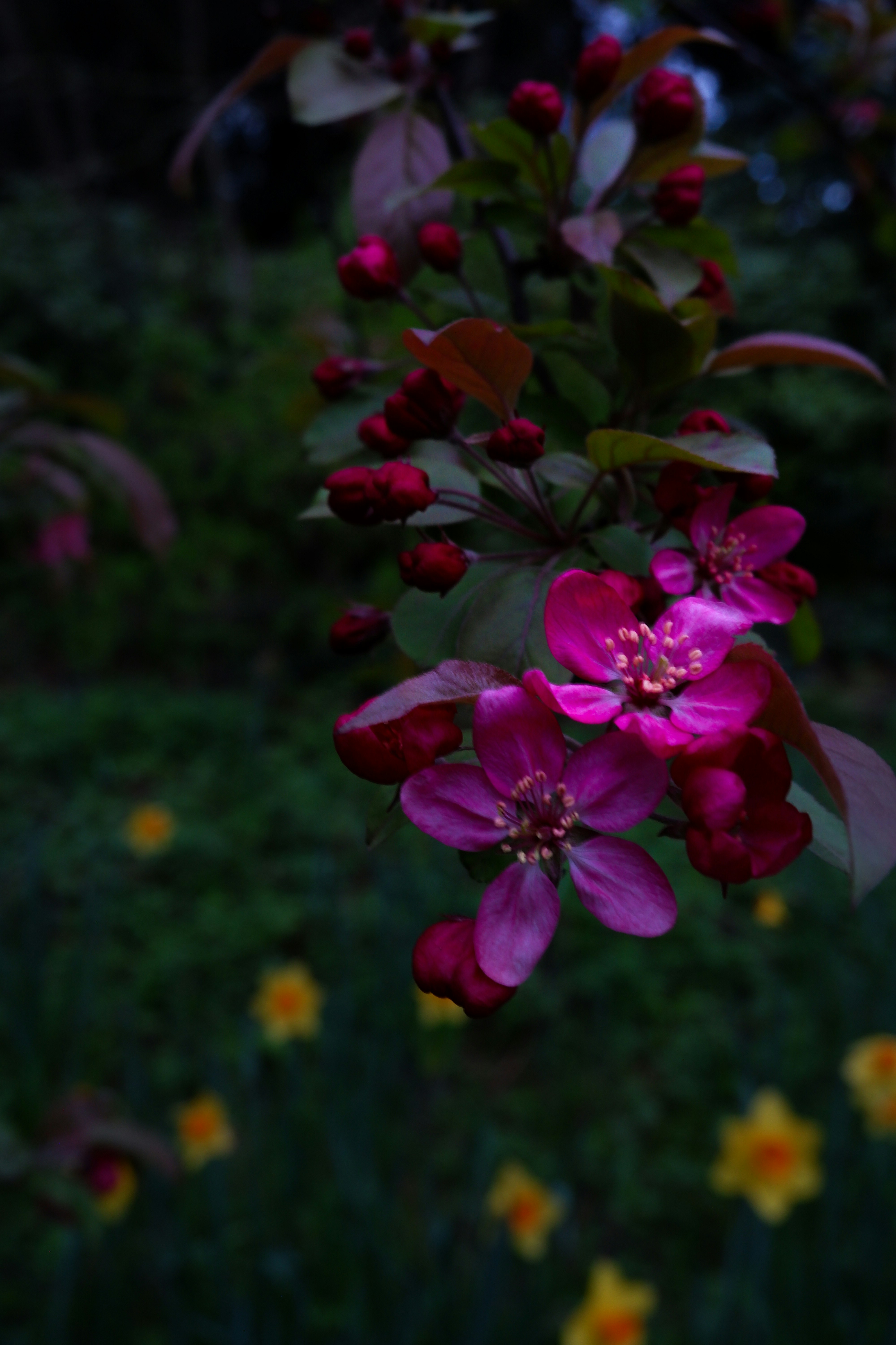 Photo by thais_blocus