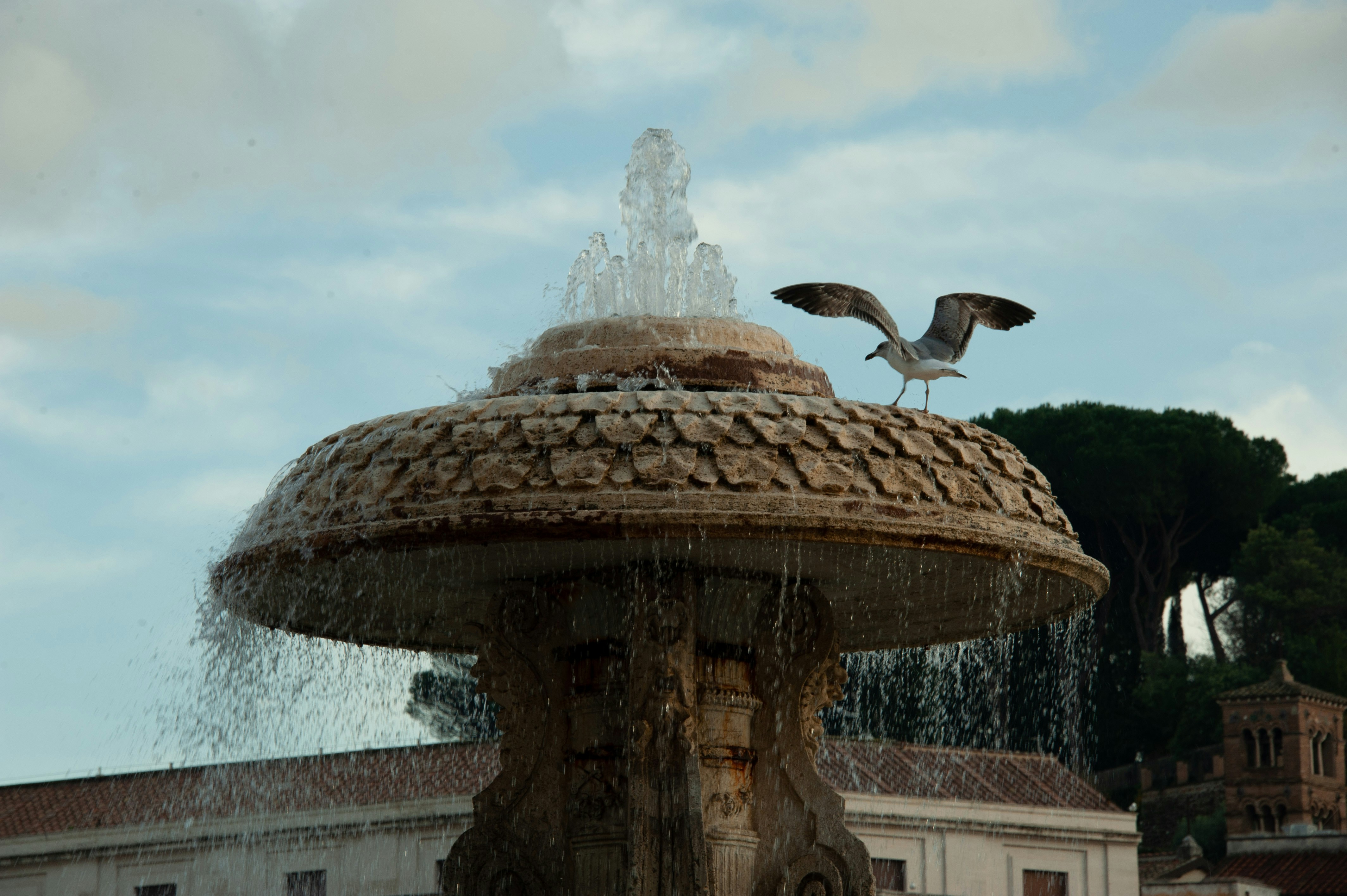 A bird is flying over a fountain in a park