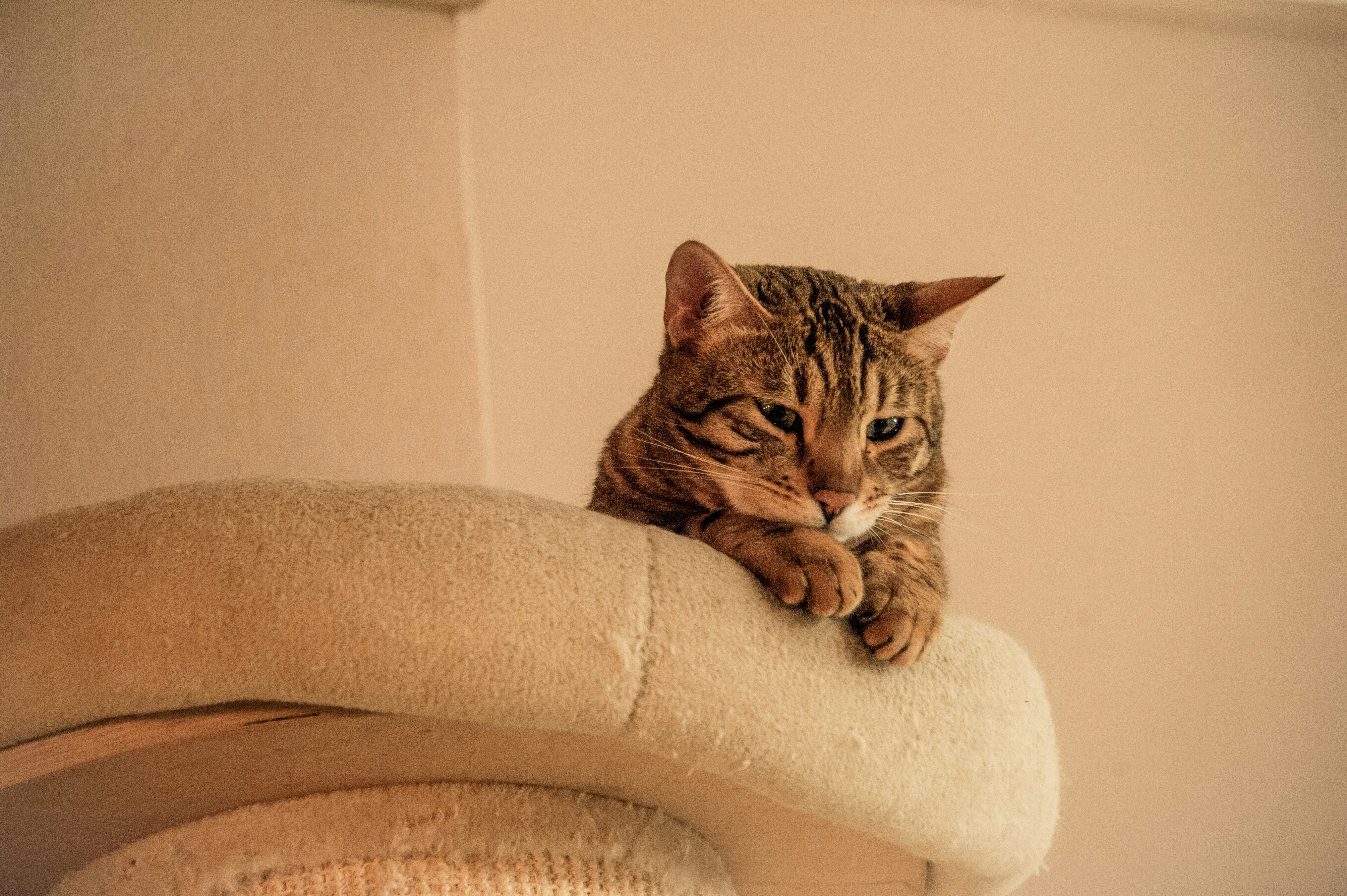 Photo by rrricharddd