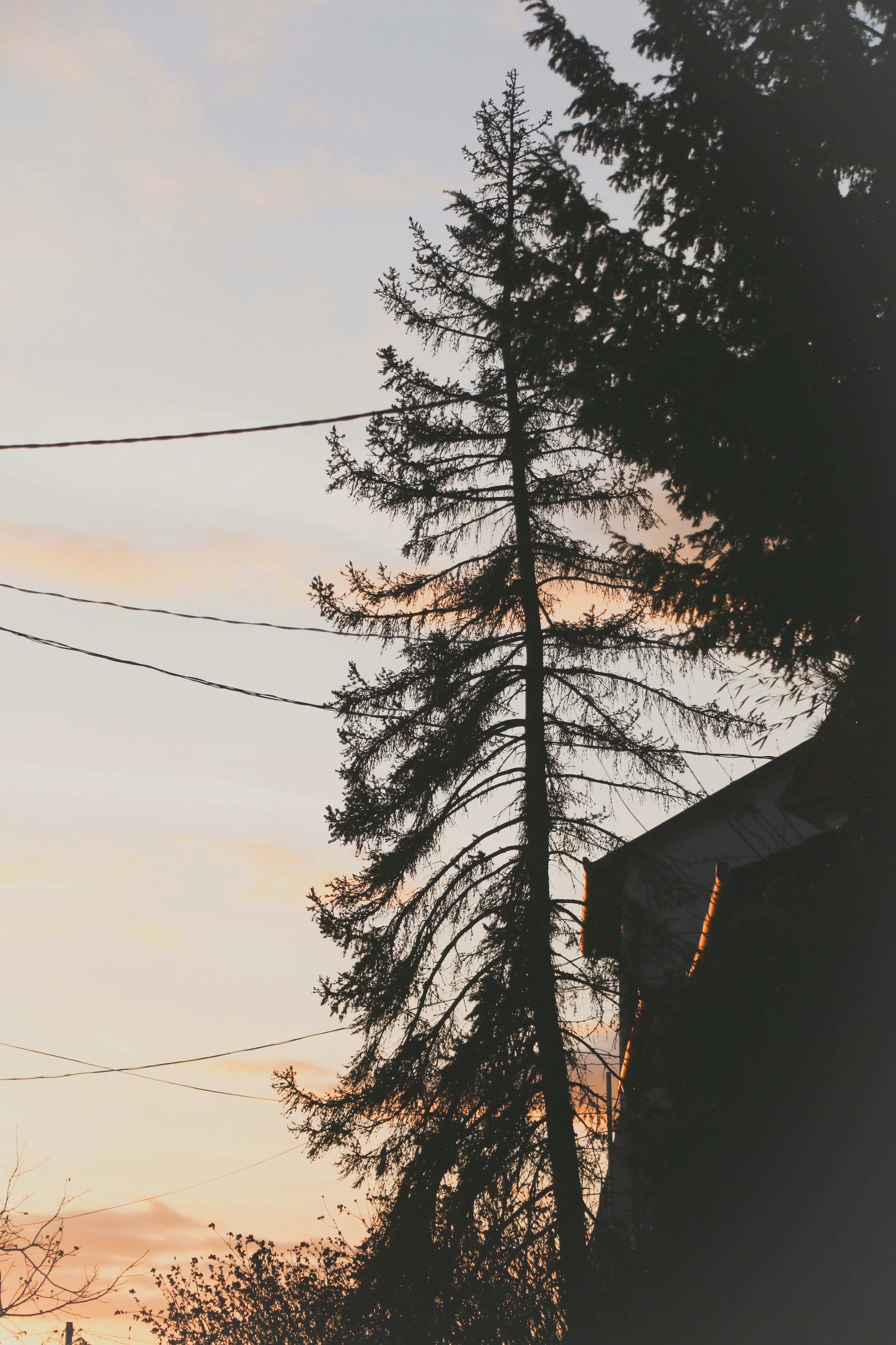 Un segnale di stop sul lato di una strada