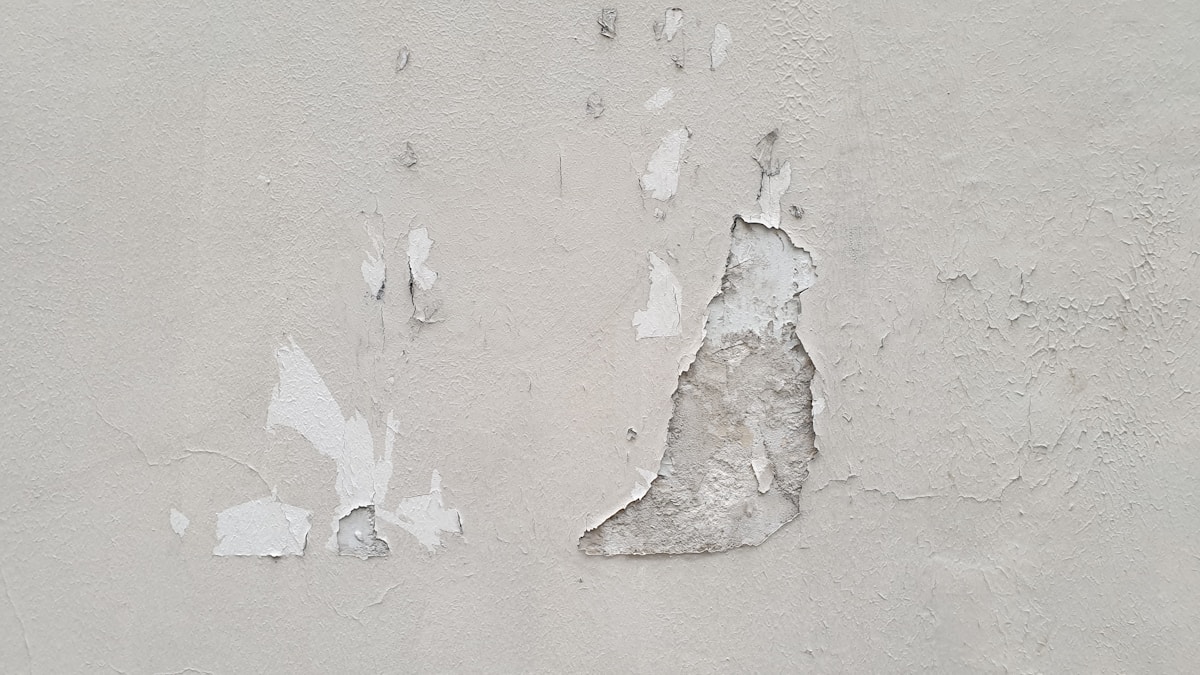 Plaster repair image