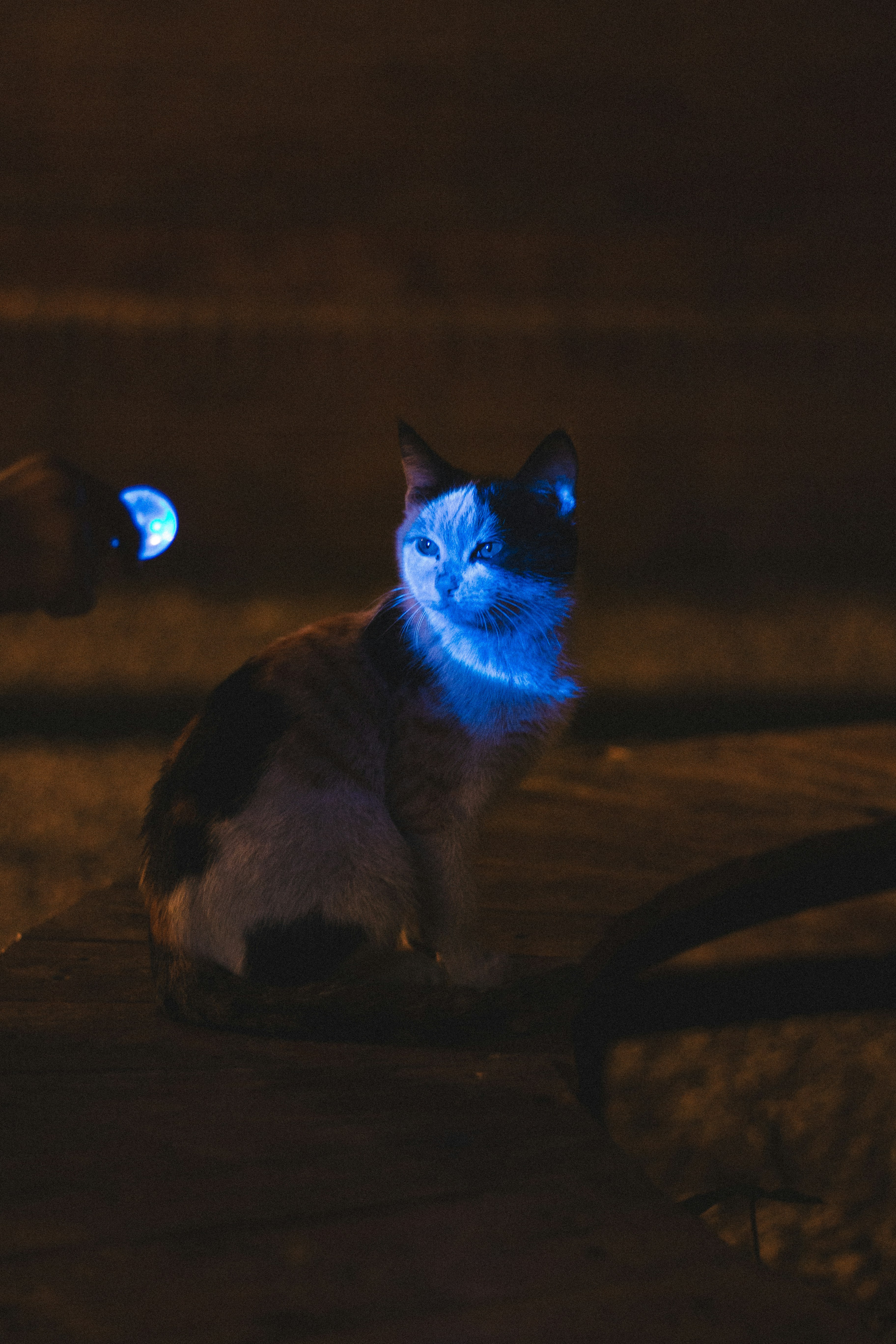 17. Light-Up Balls for Nighttime Play (image credits: unsplash)