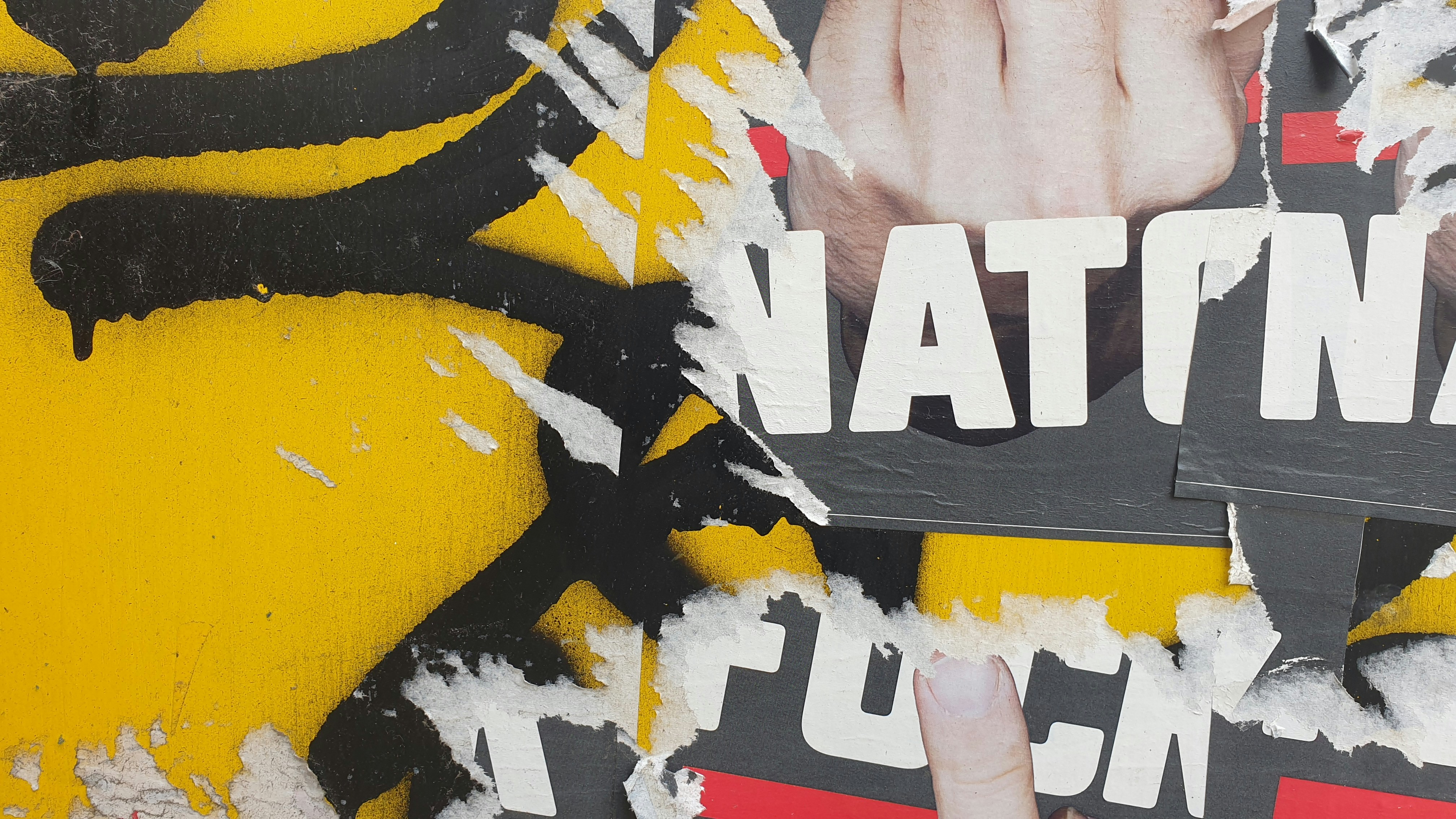 Un póster de un león sobre un fondo amarillo y negro