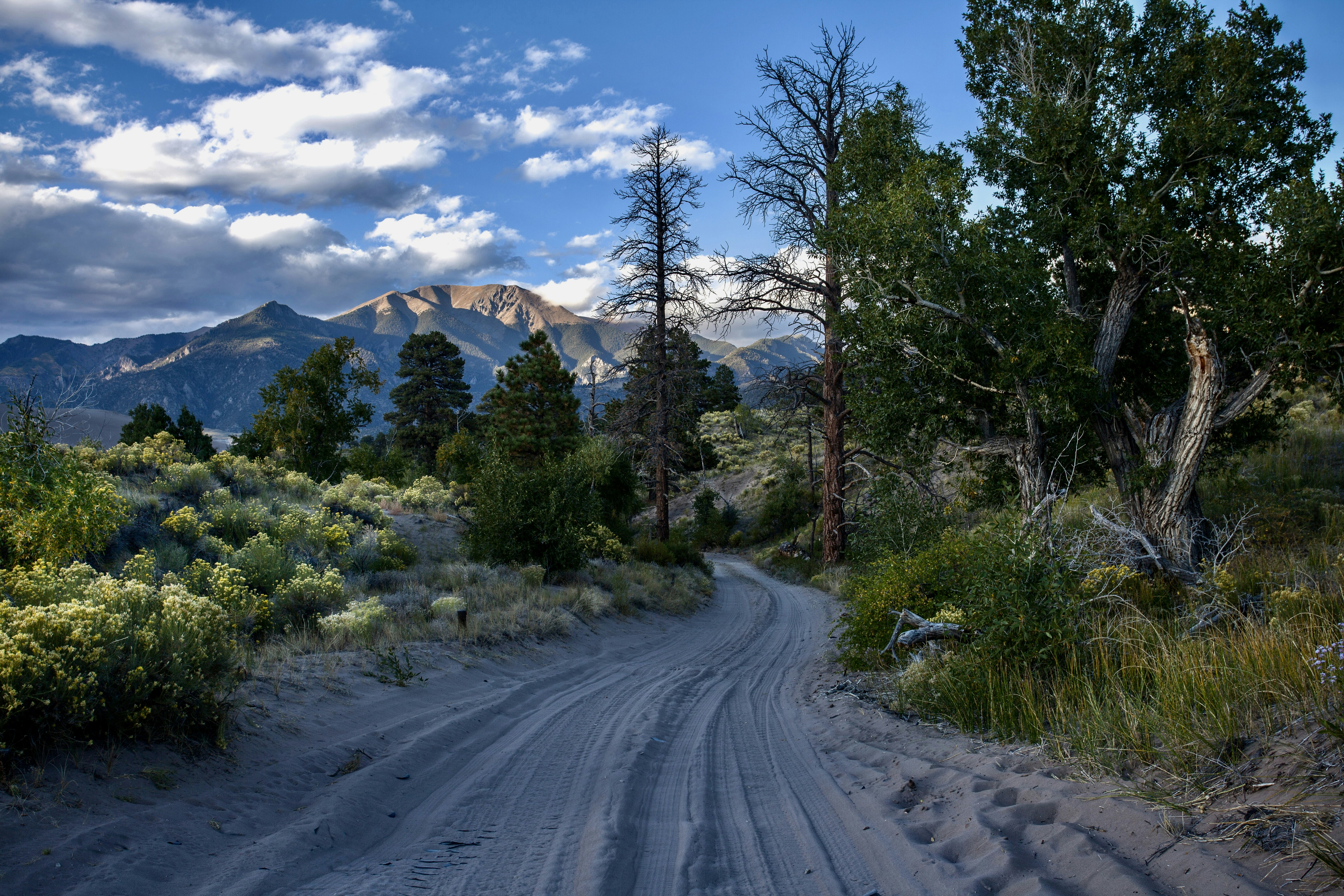 ALS destination photo