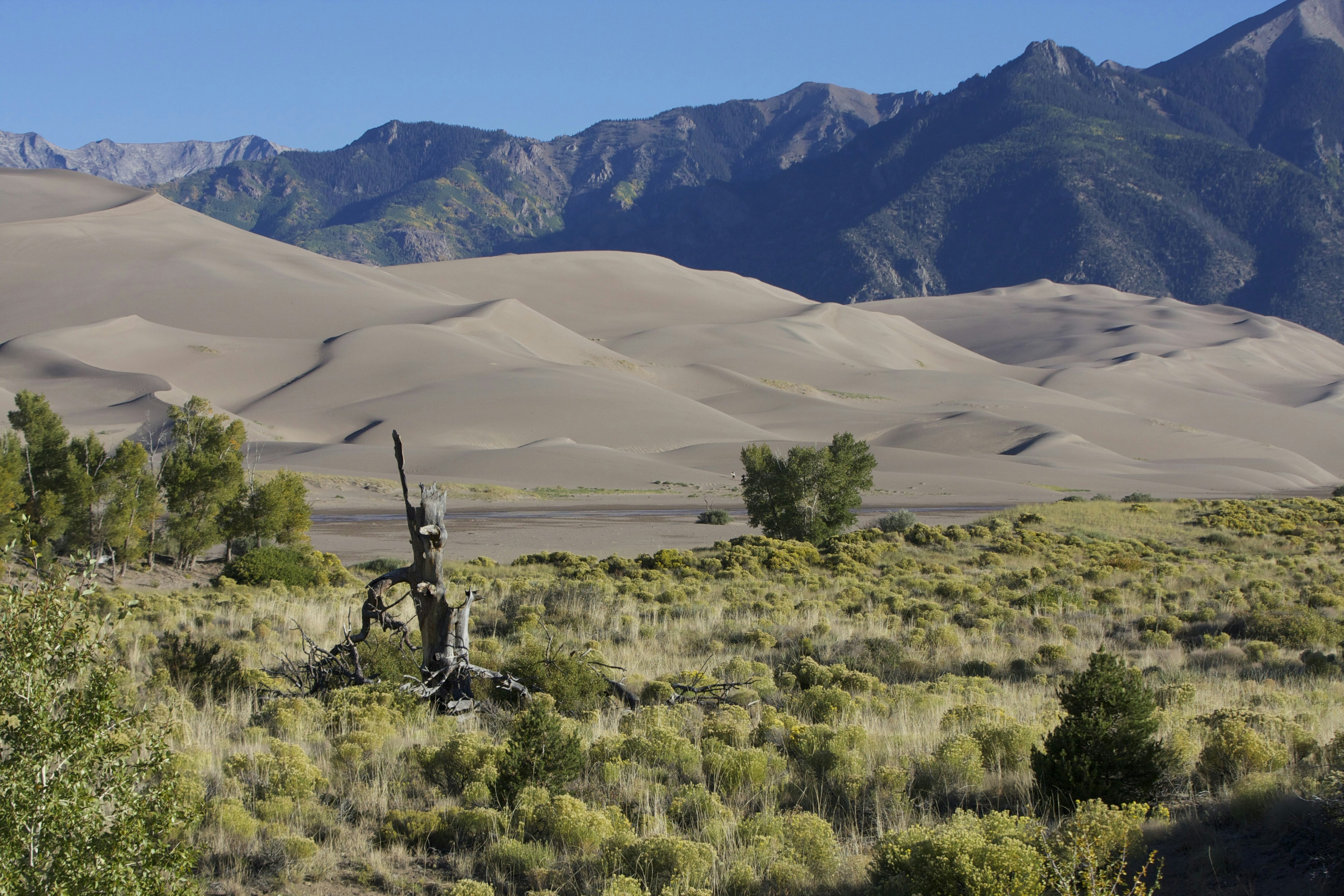 A desert landscape with mountains in the background