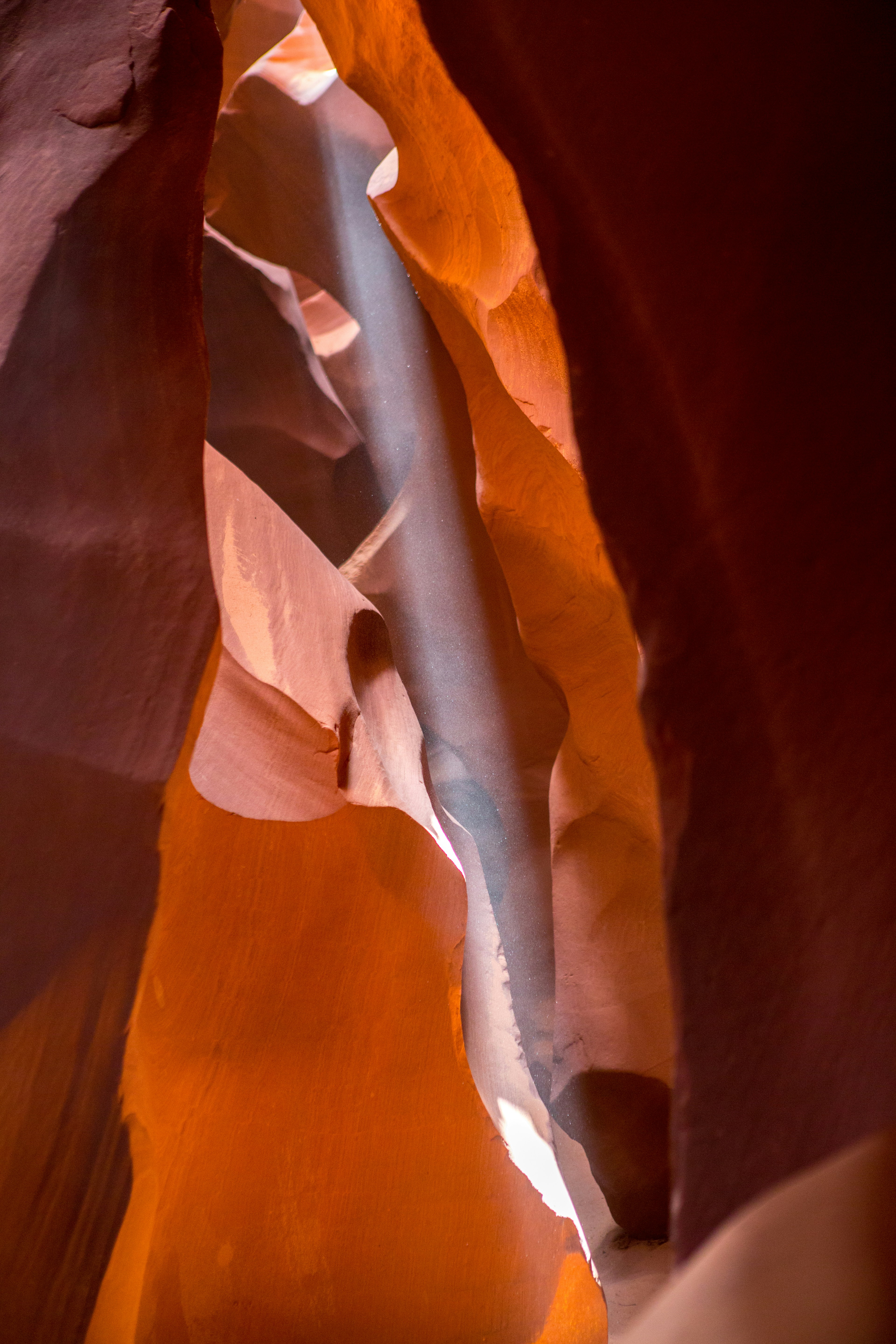 Photo by rafaelpeier