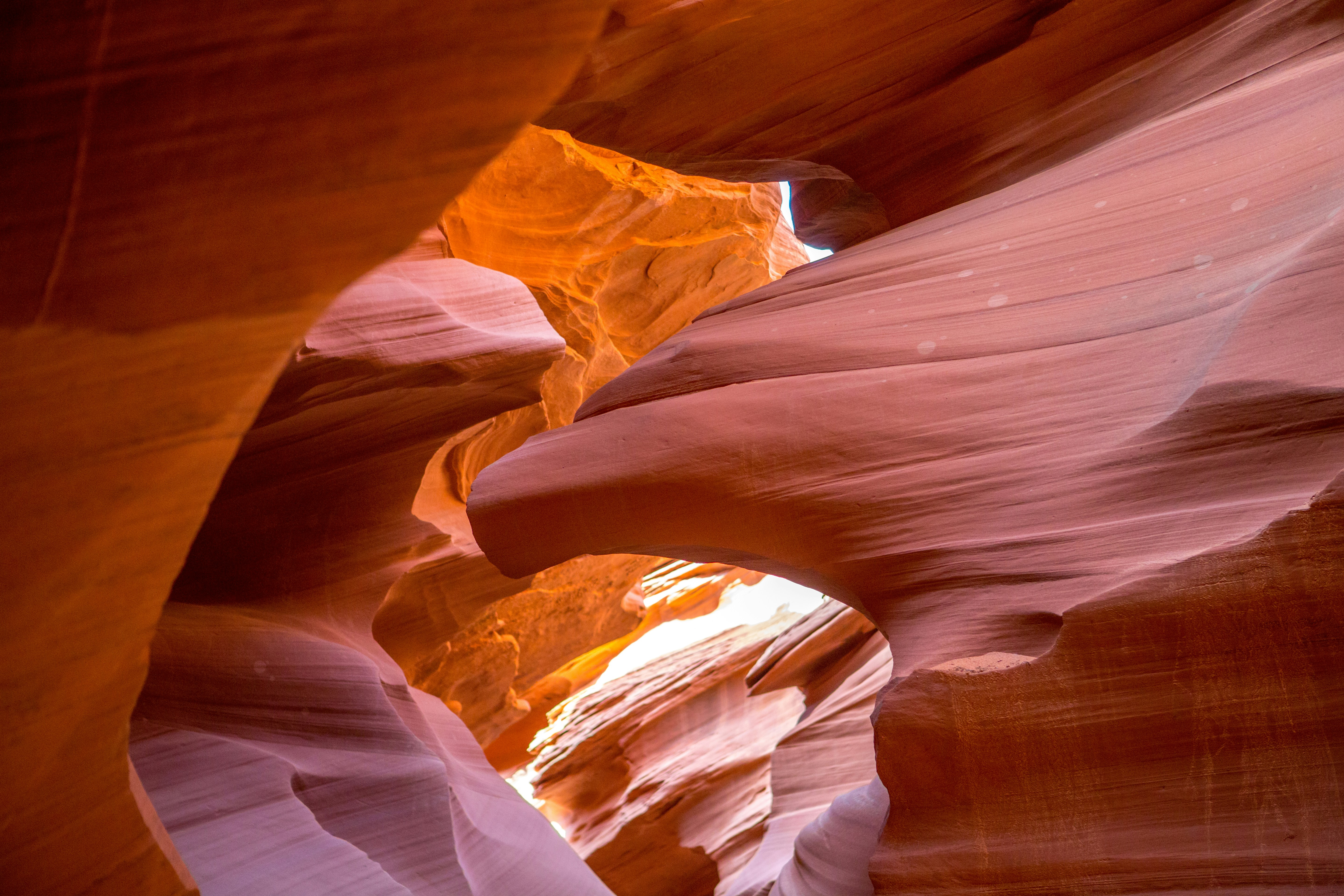 Photo by rafaelpeier