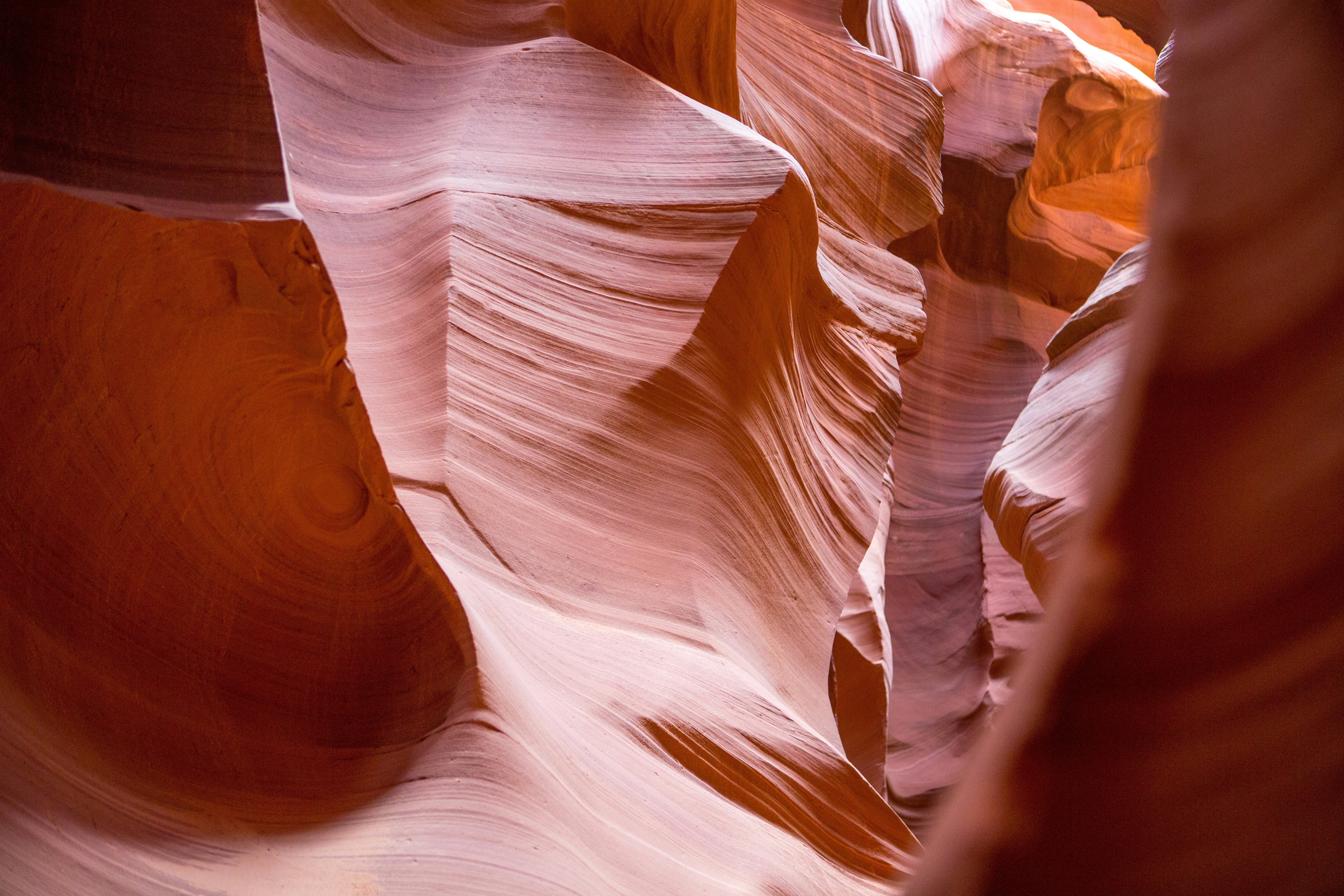 Photo by rafaelpeier