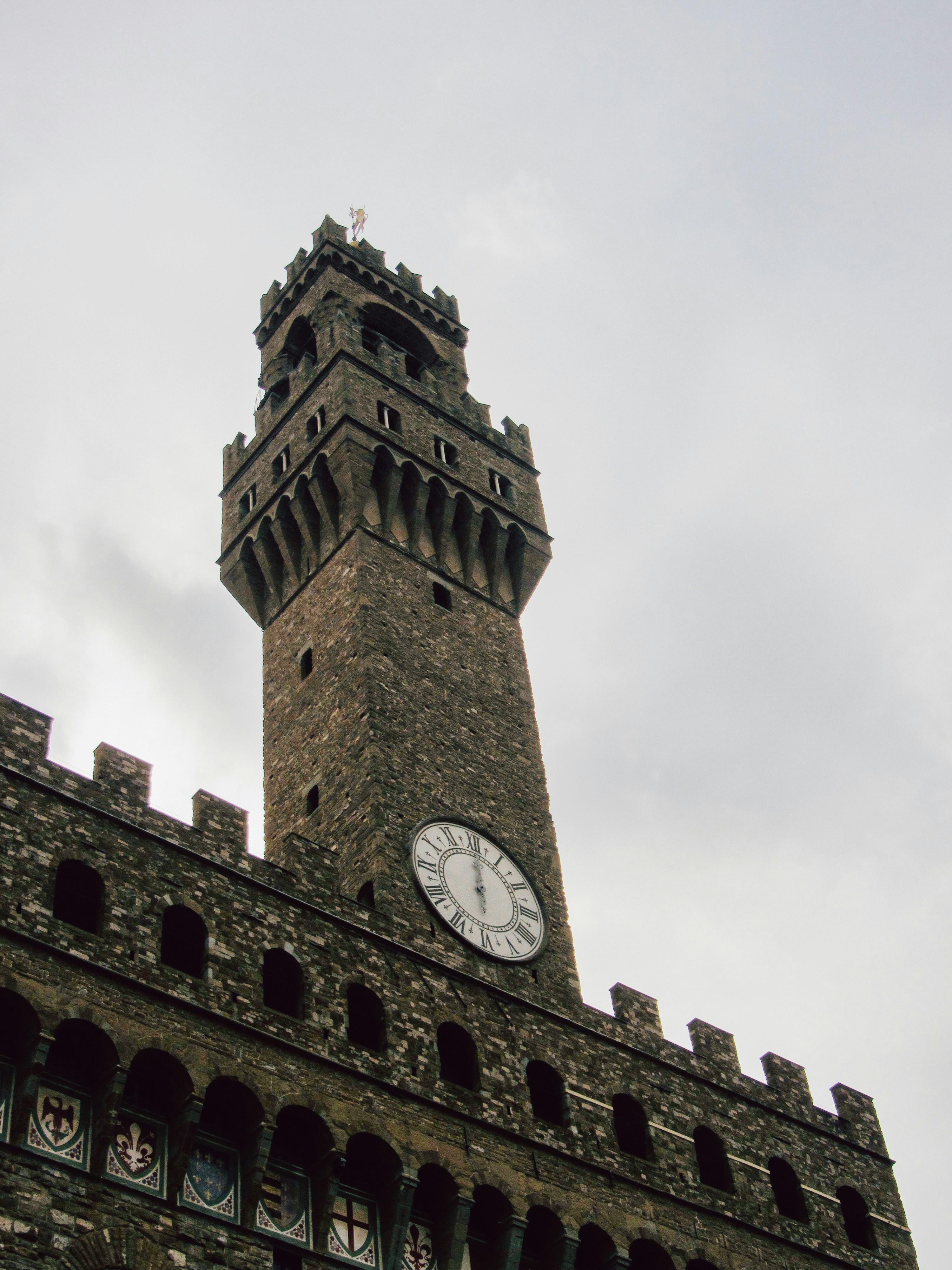 Photo by clovegrove7