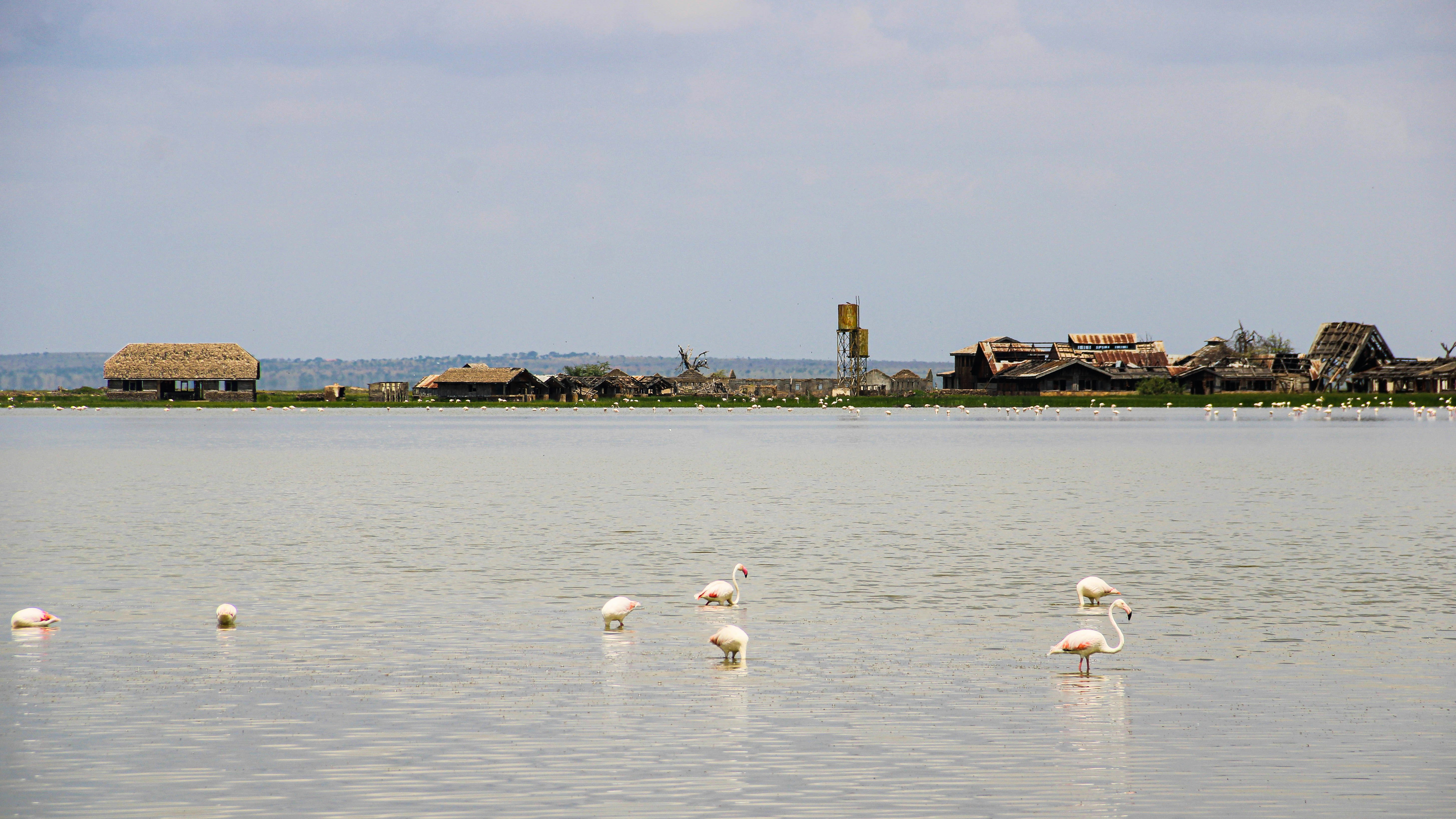 Diani Beach – Geography & Spatial Structure