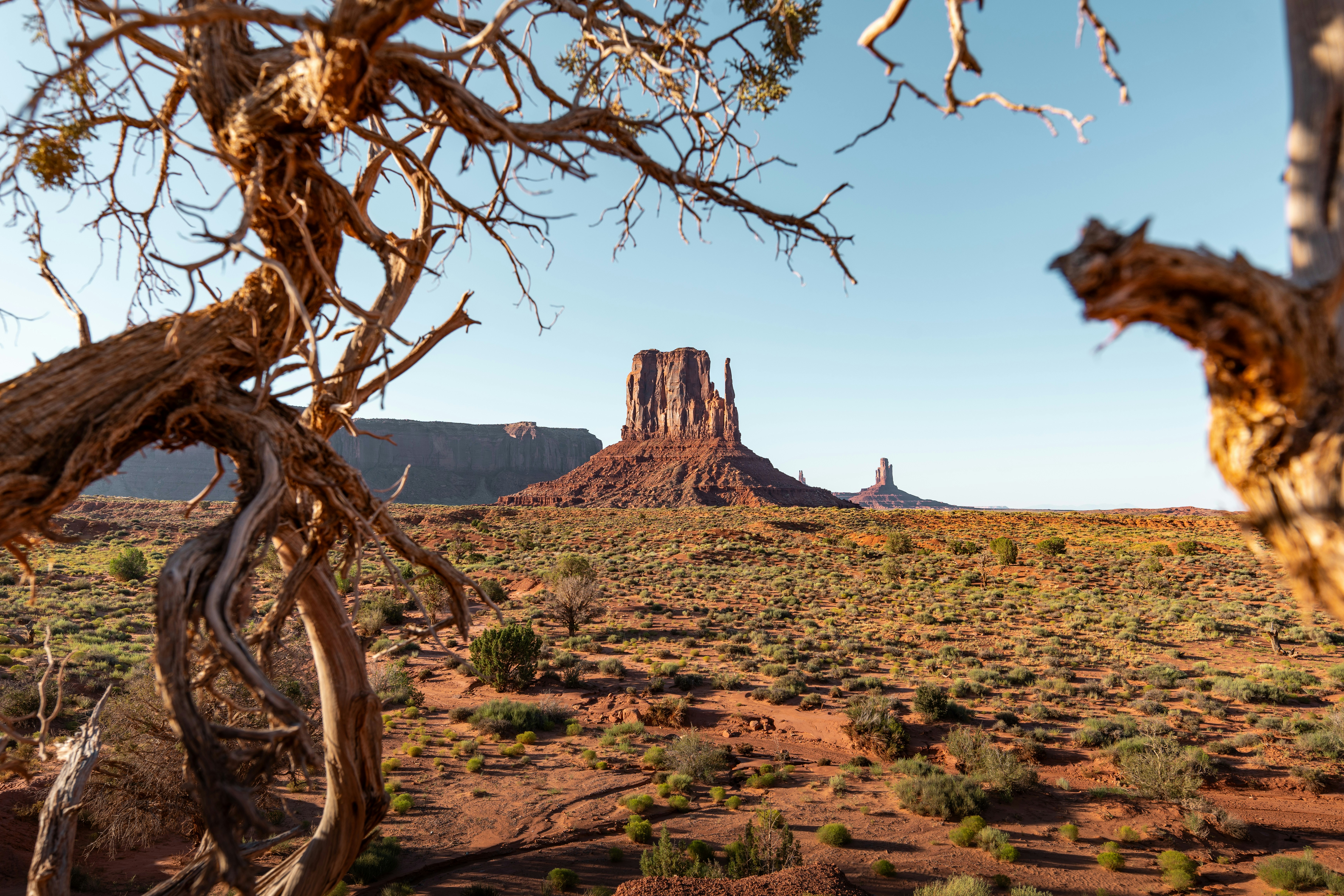 Blick auf eine Wüste mit einem Berg im Hintergrund