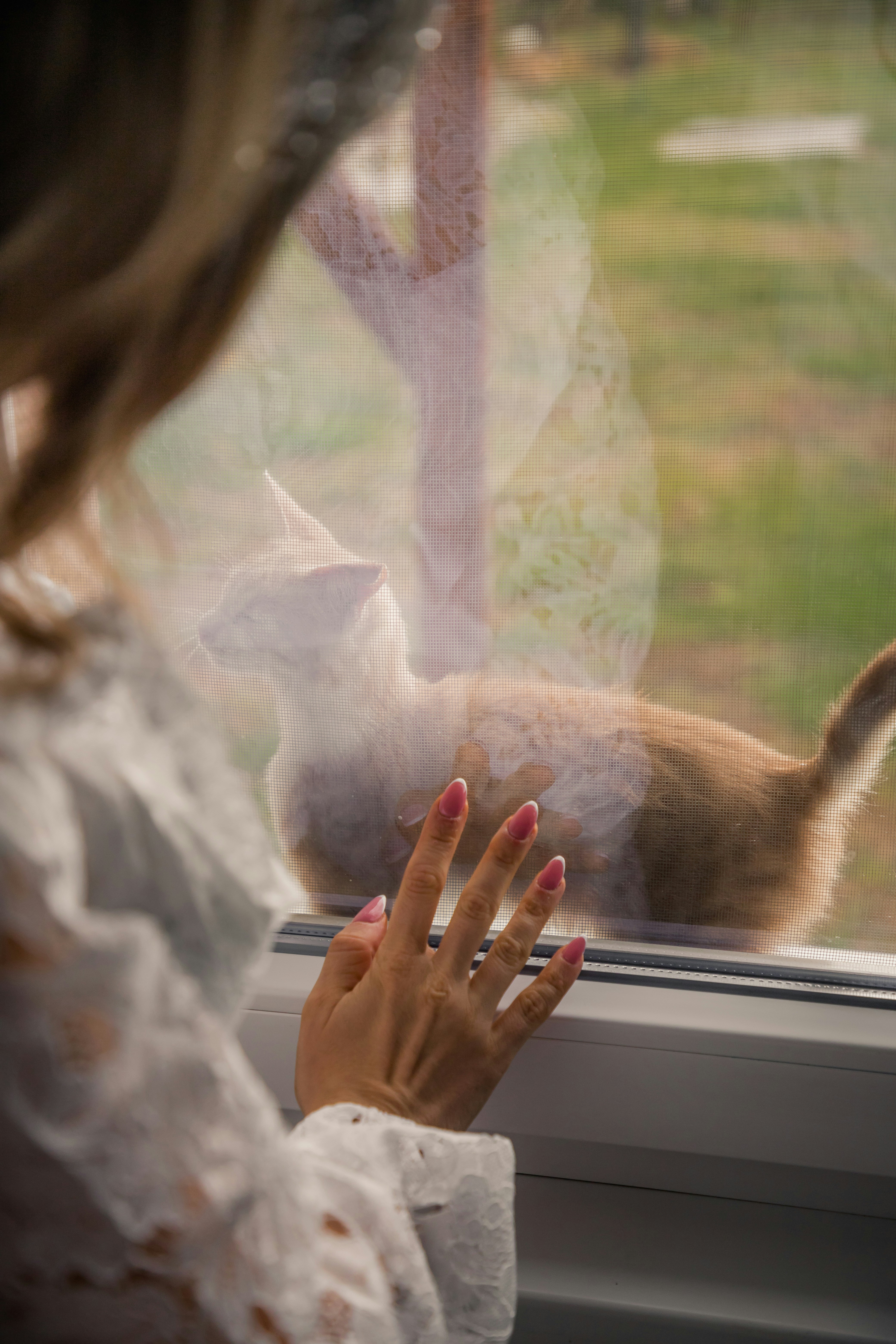 Uma mulher olhando para fora de uma janela em um gato