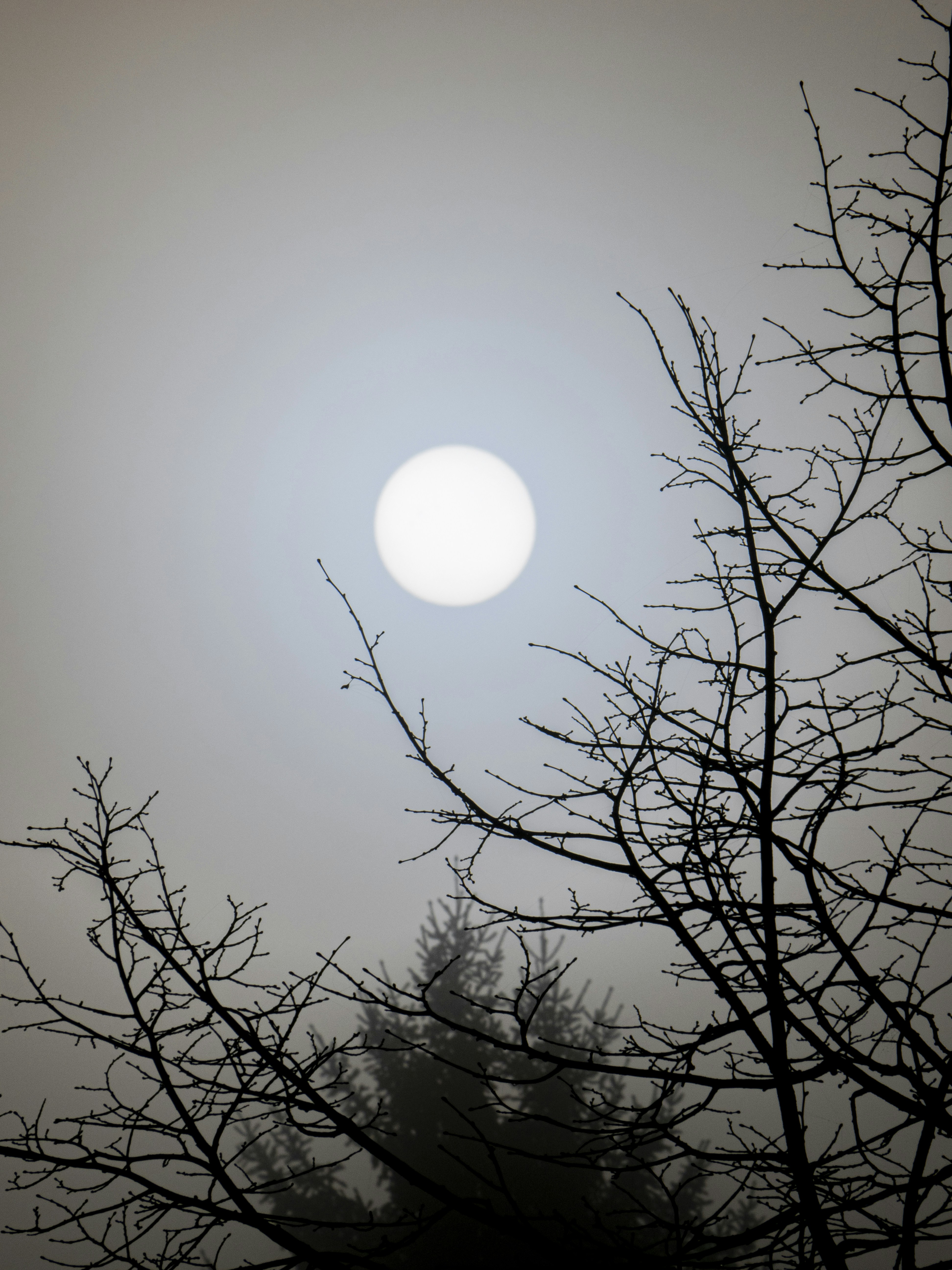 Photo by gopitri_prem