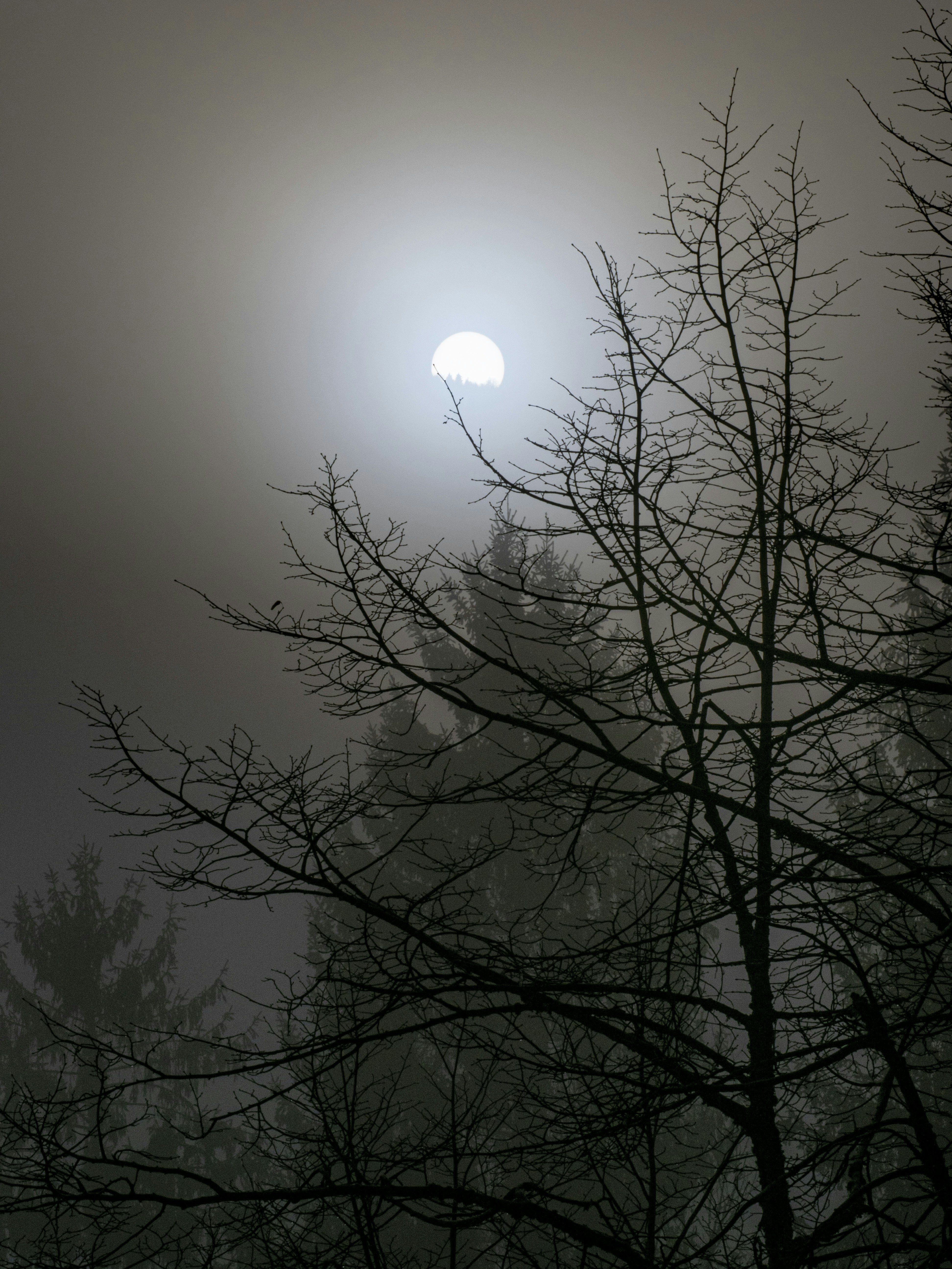 Photo by gopitri_prem