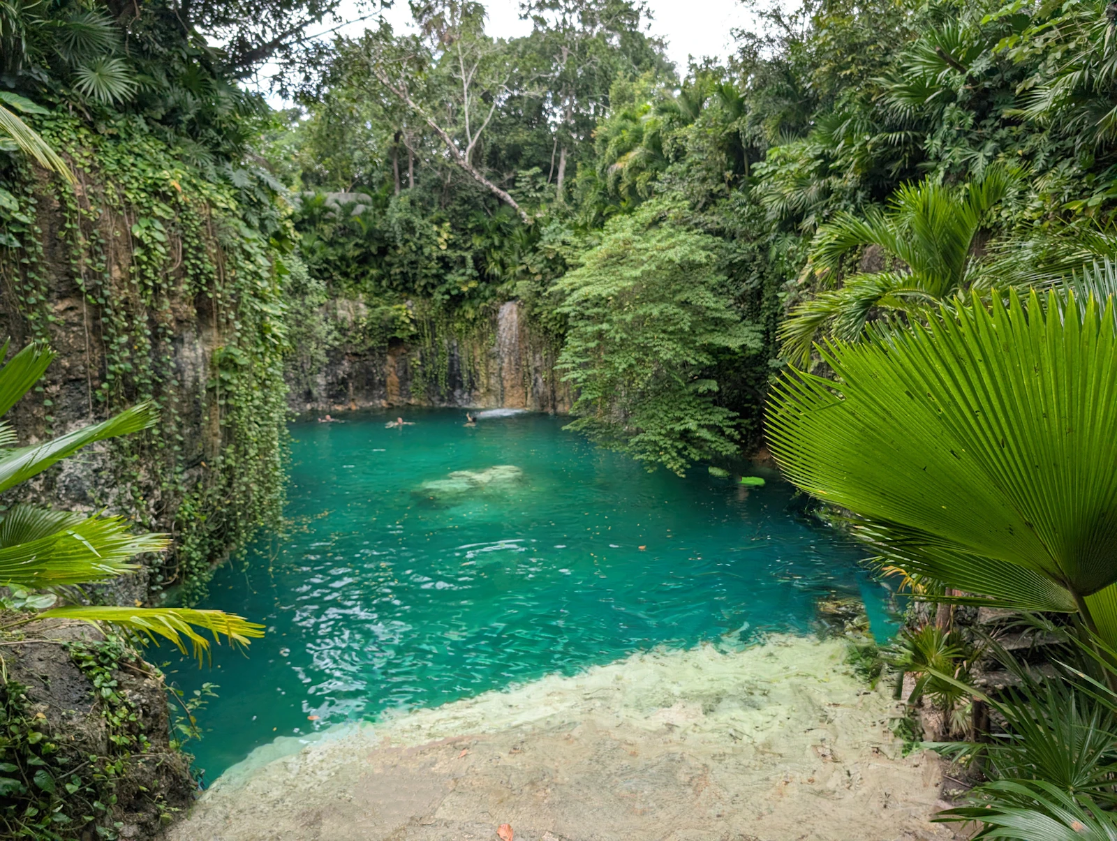 Baignade dans un cénote près de Cancún