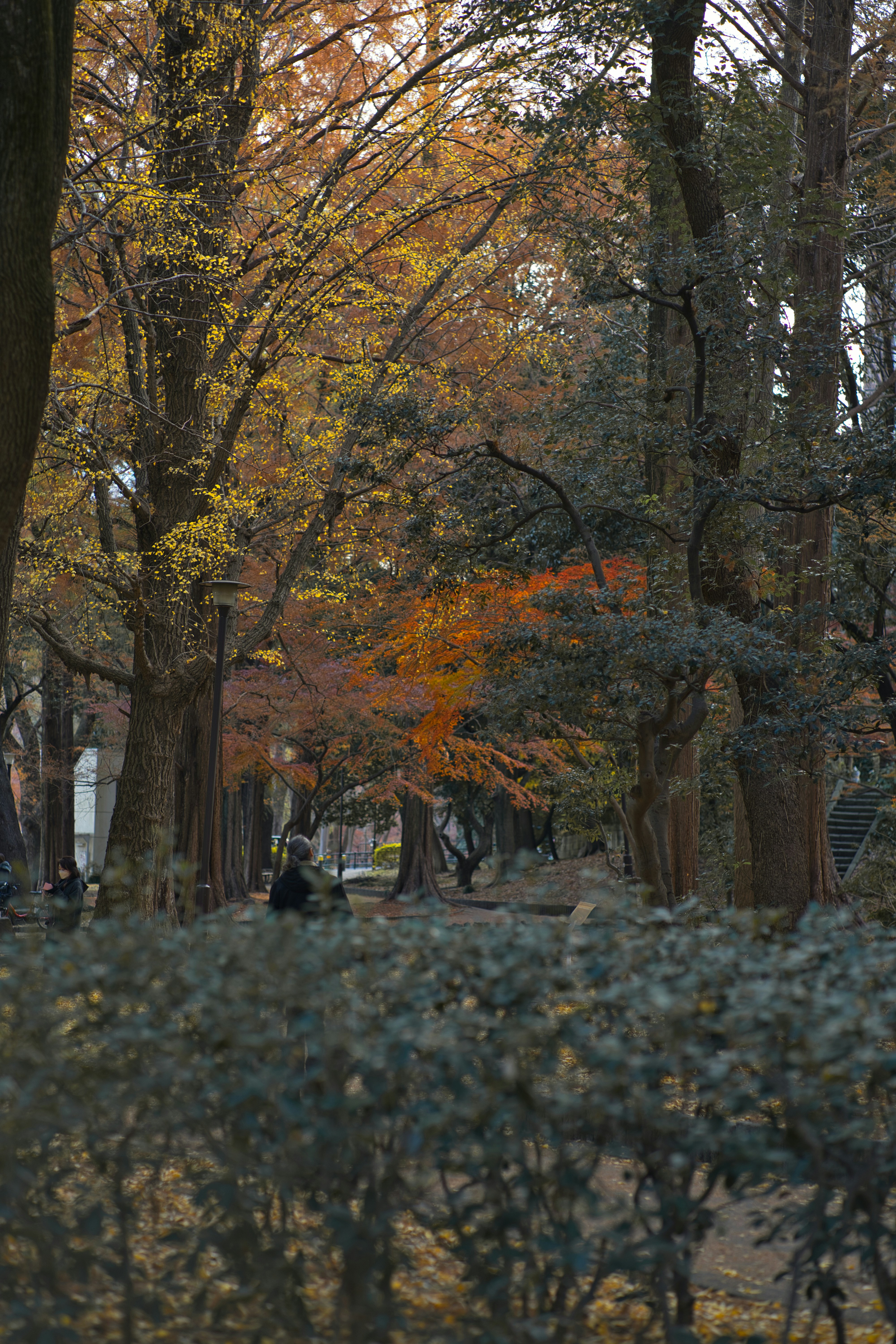 Photo by joshuamachtfotos