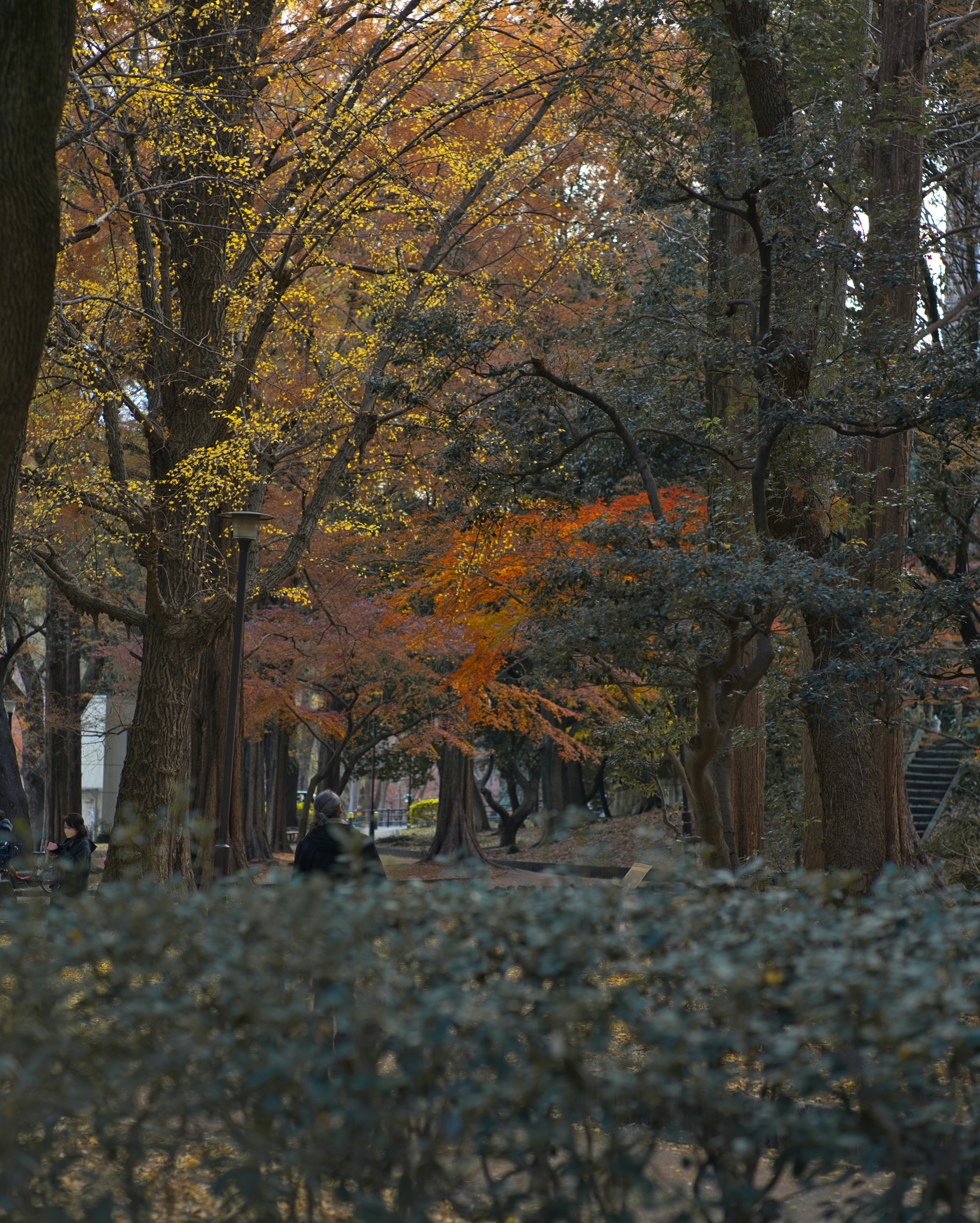 Photo by joshuamachtfotos