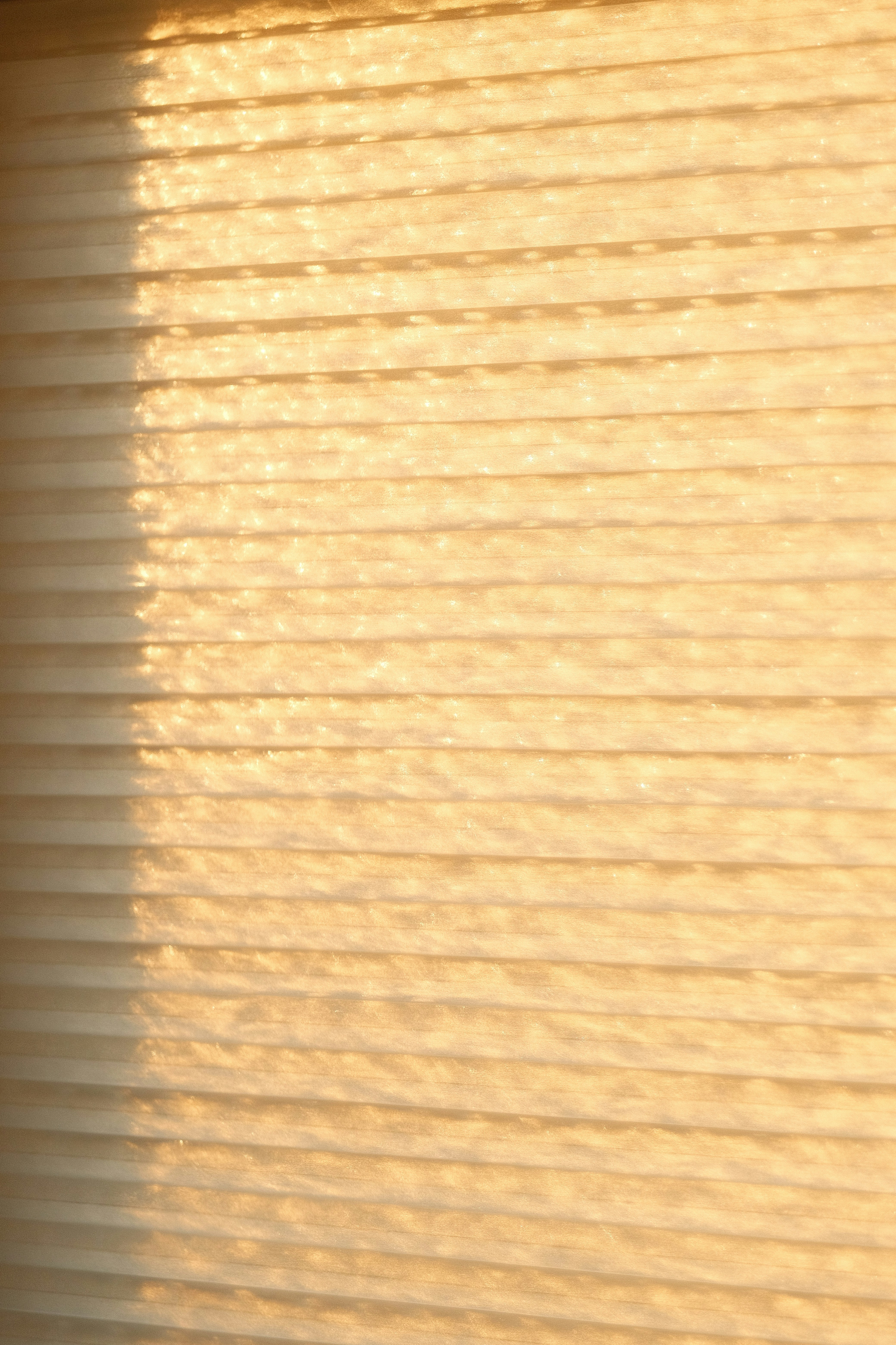 A cat sitting on top of a window sill