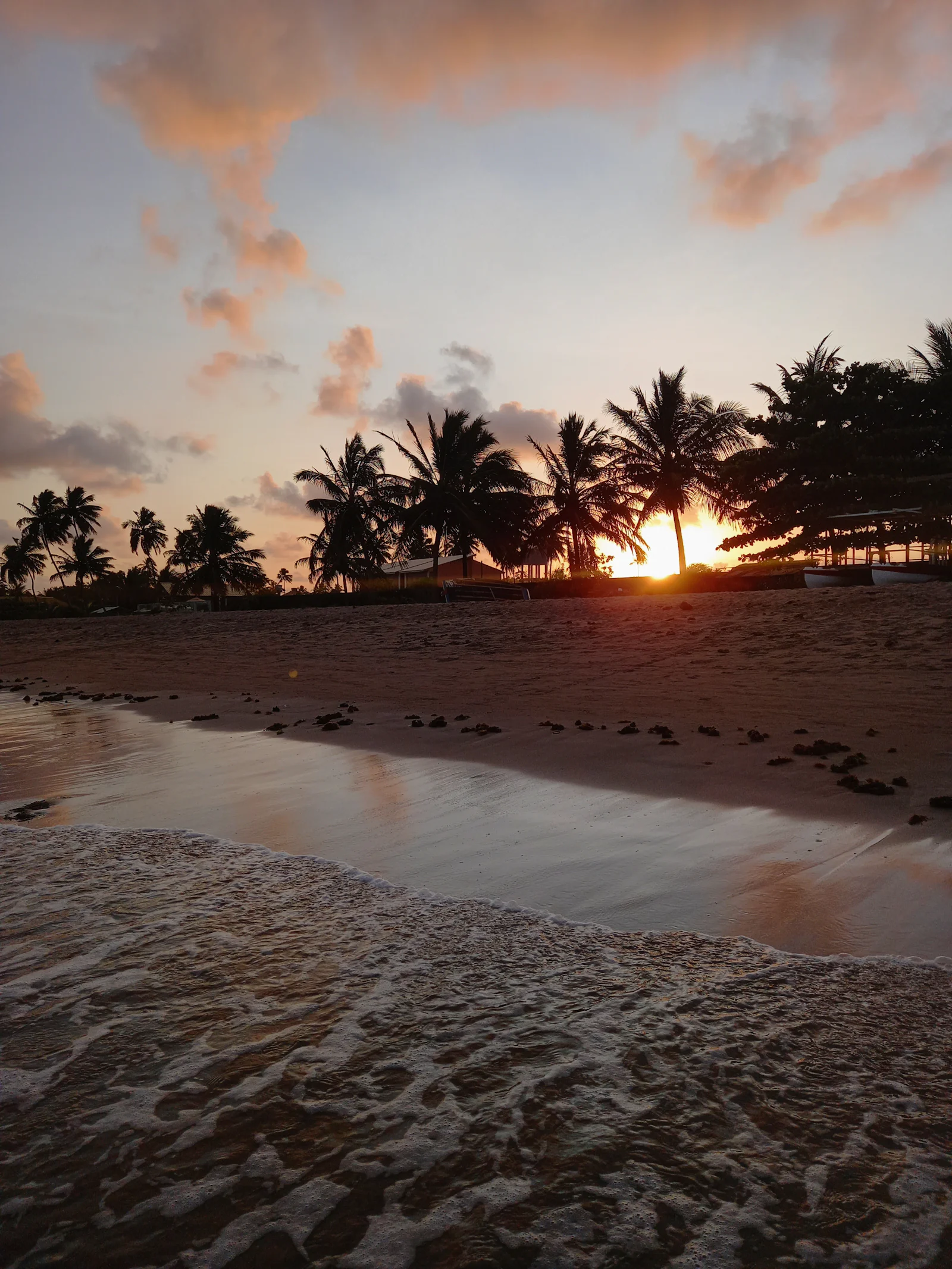 Pôr do sol numa praia com coqueiros