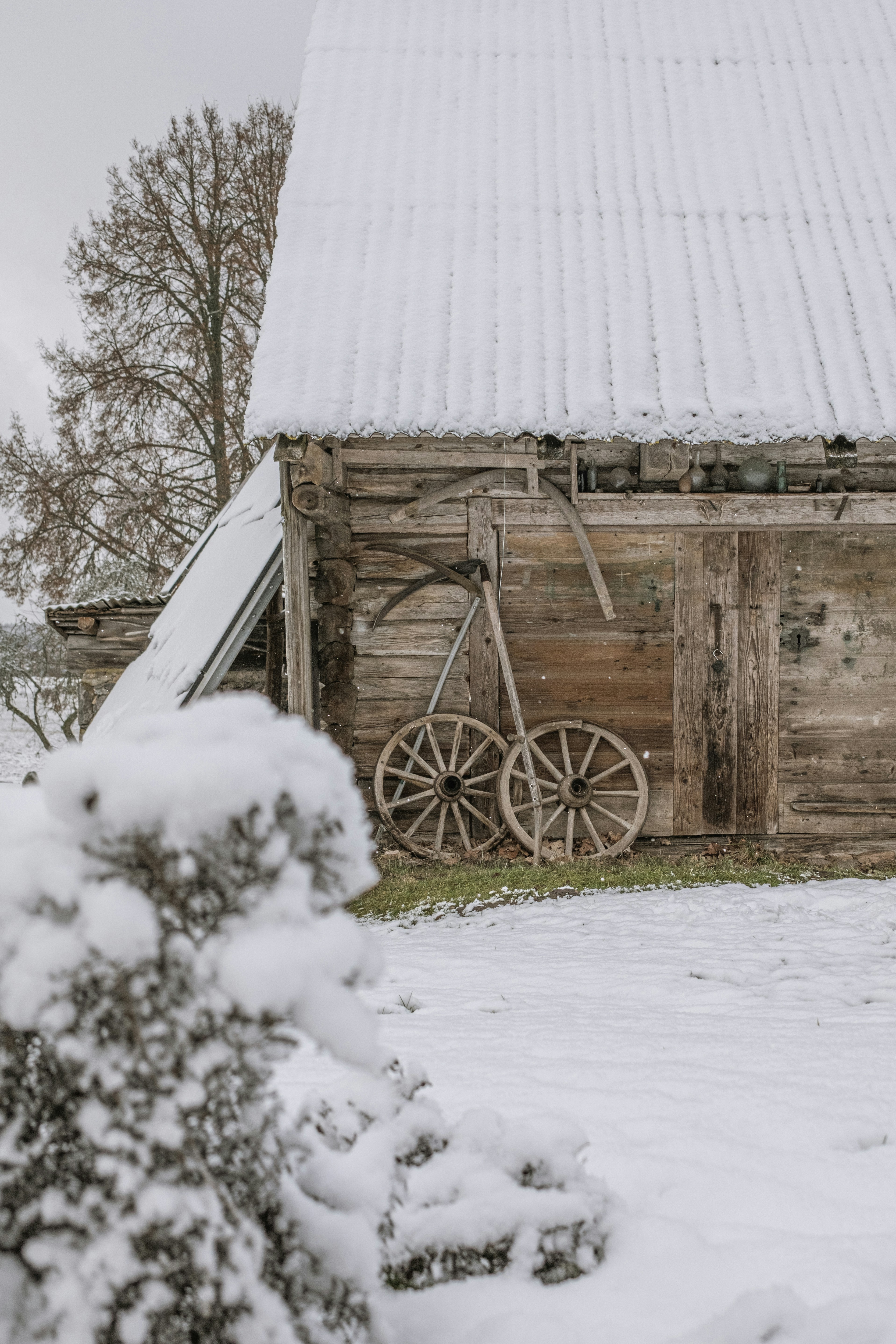 Photo by inga_images