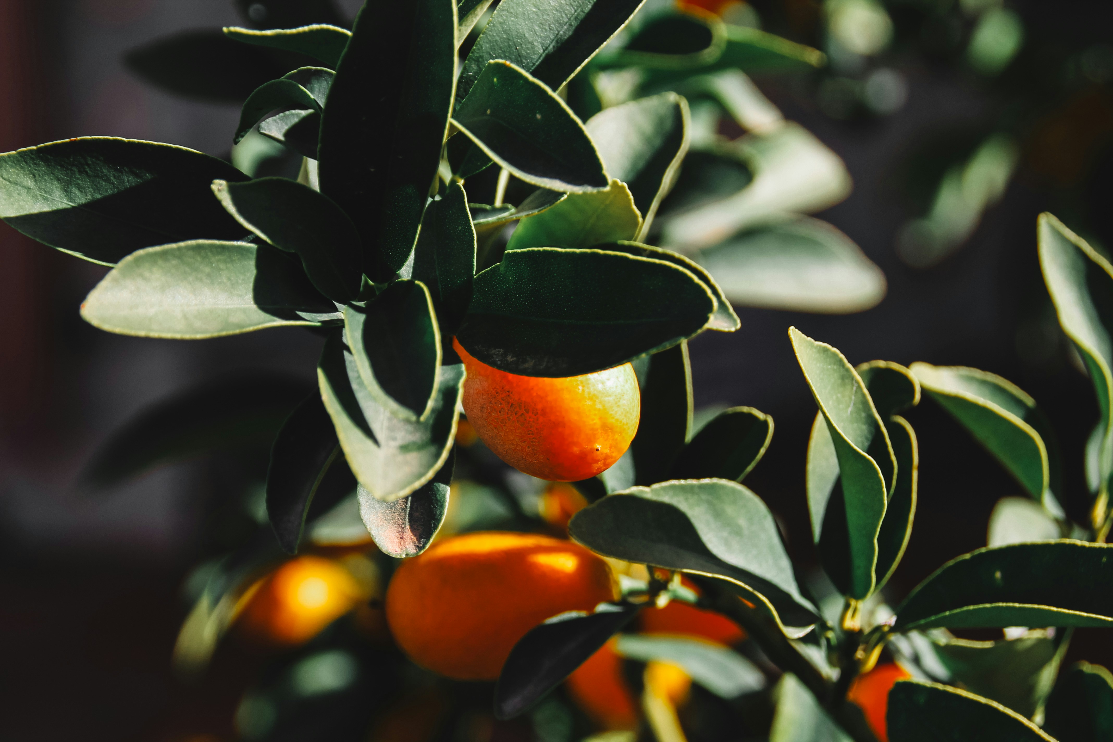 Photo by josesanchis16