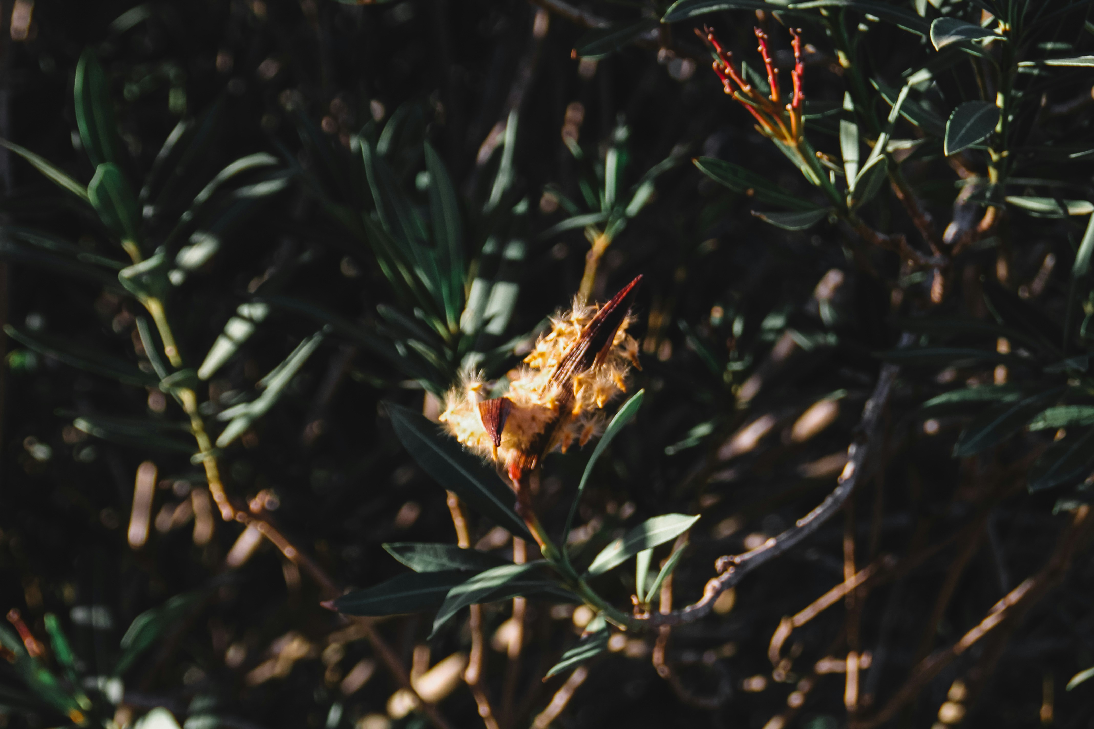 Photo by josesanchis16