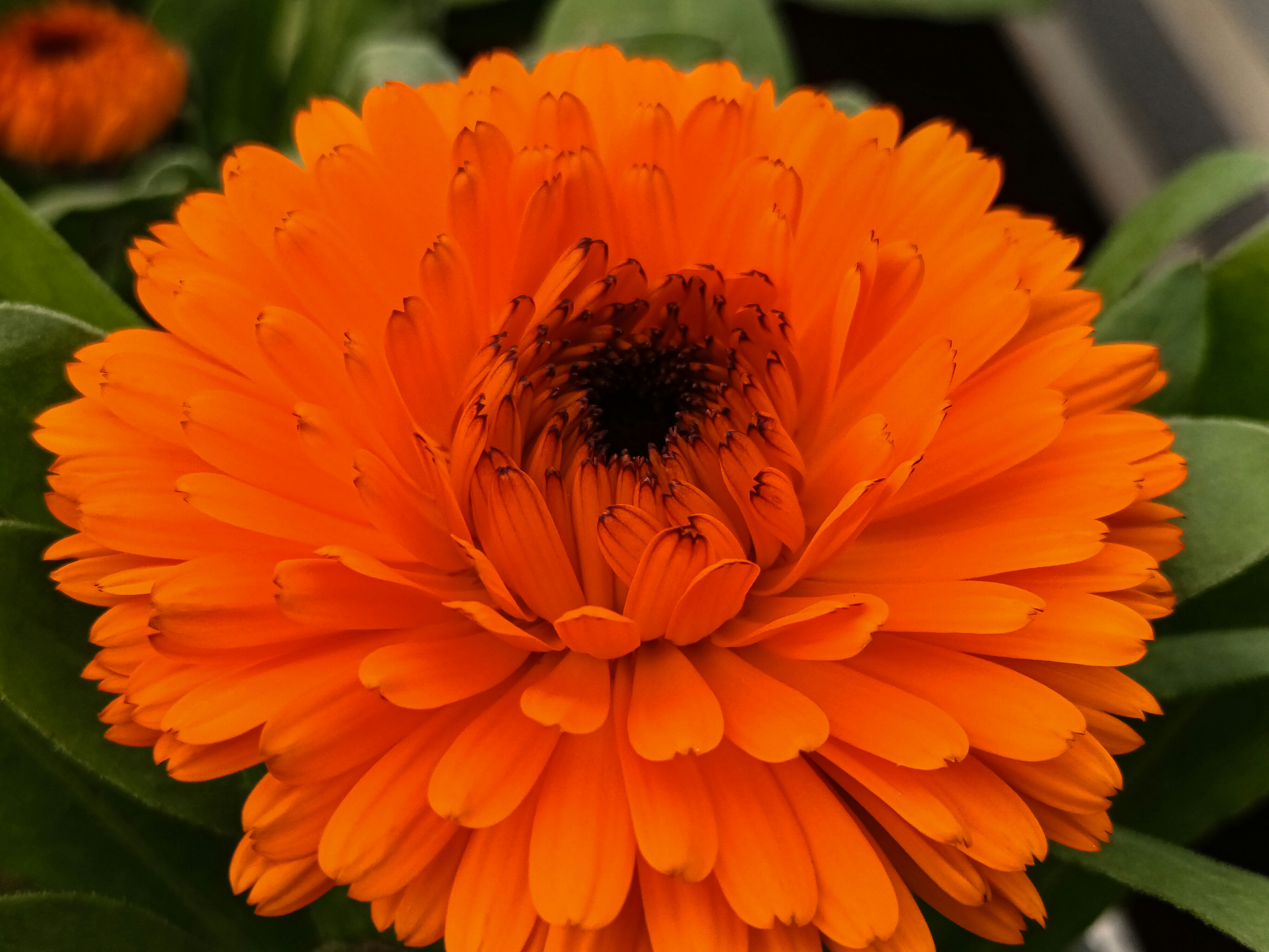 Photo by barbara_light