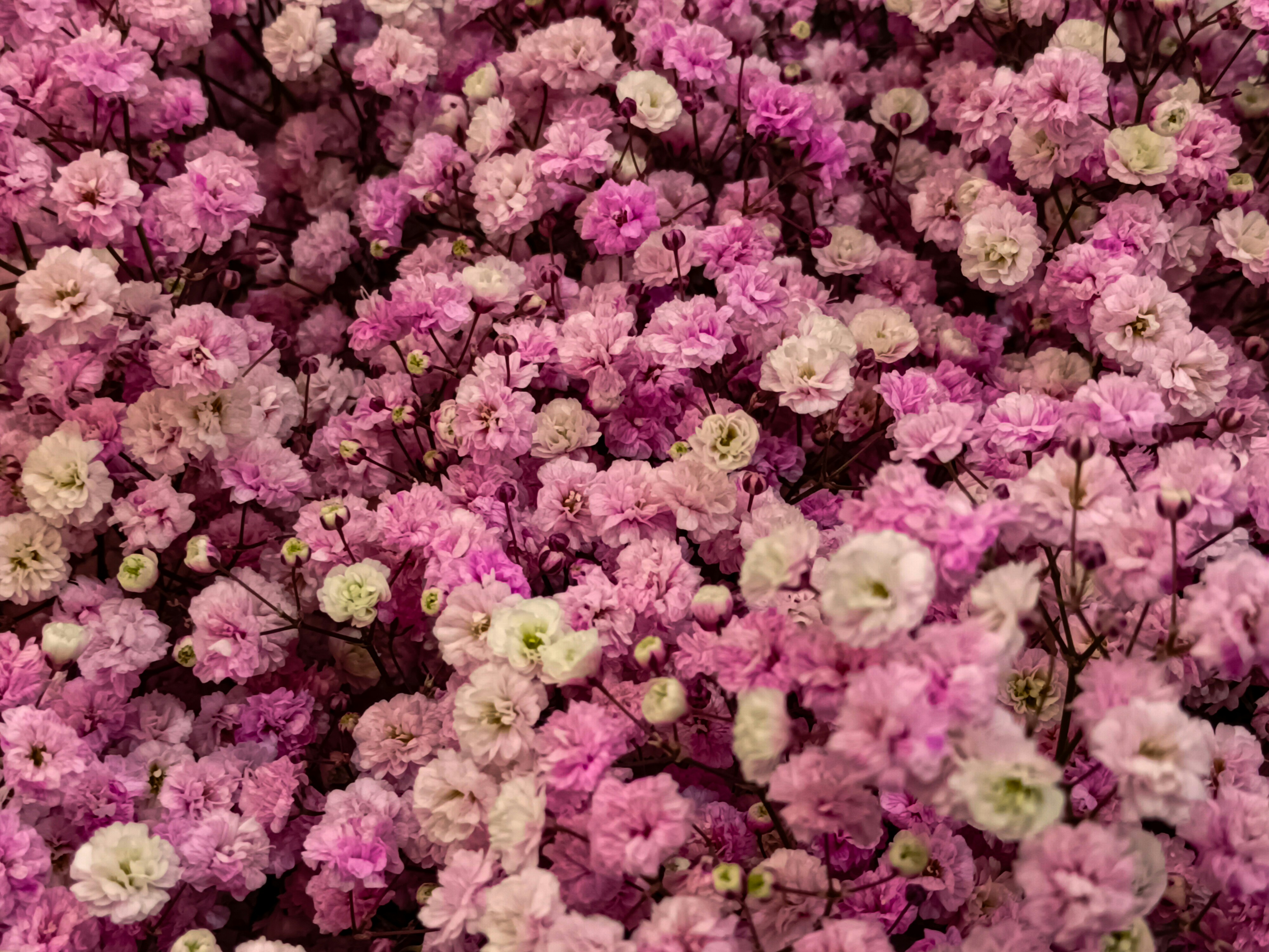 Photo by barbara_light