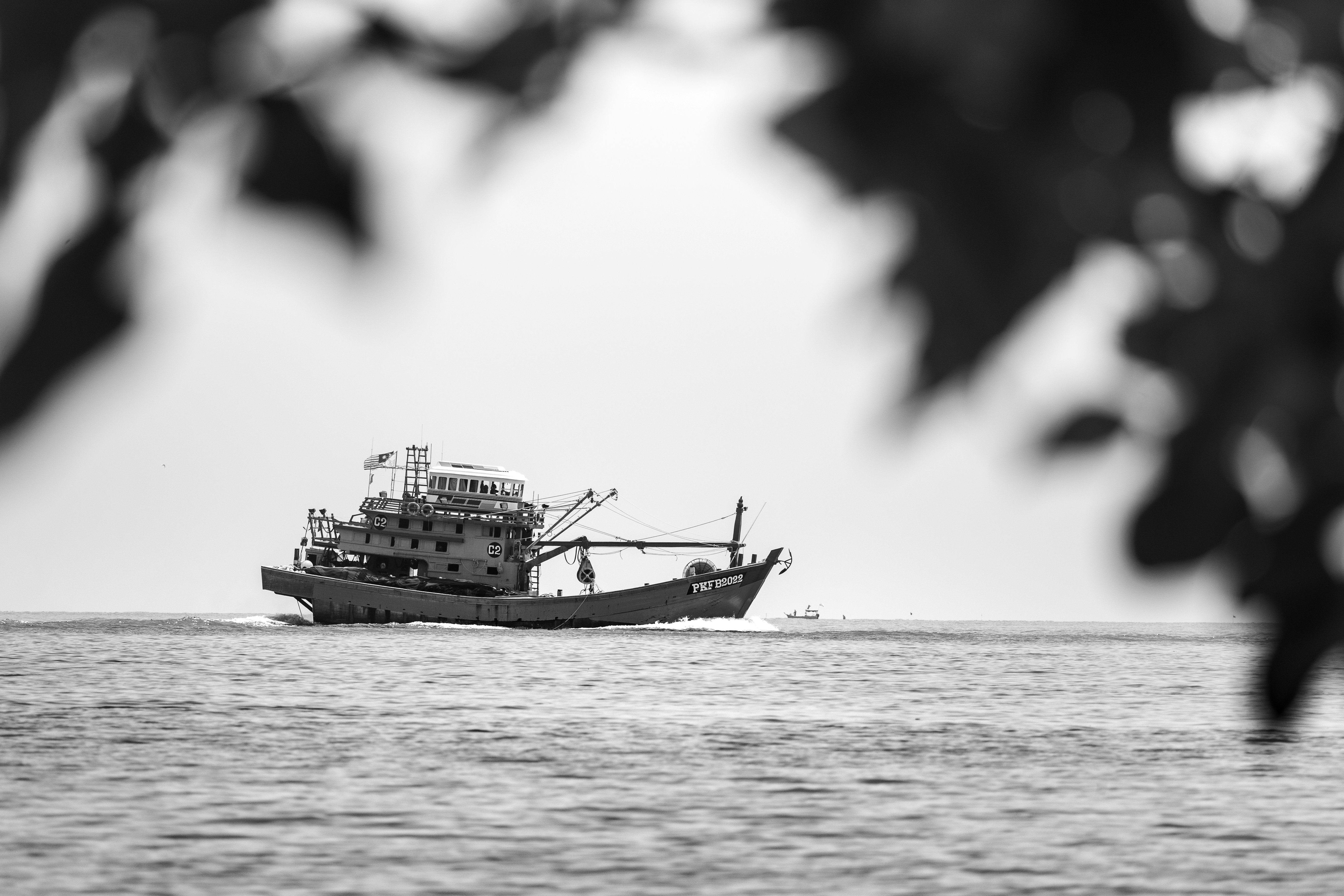 Photo by marekpiwnicki