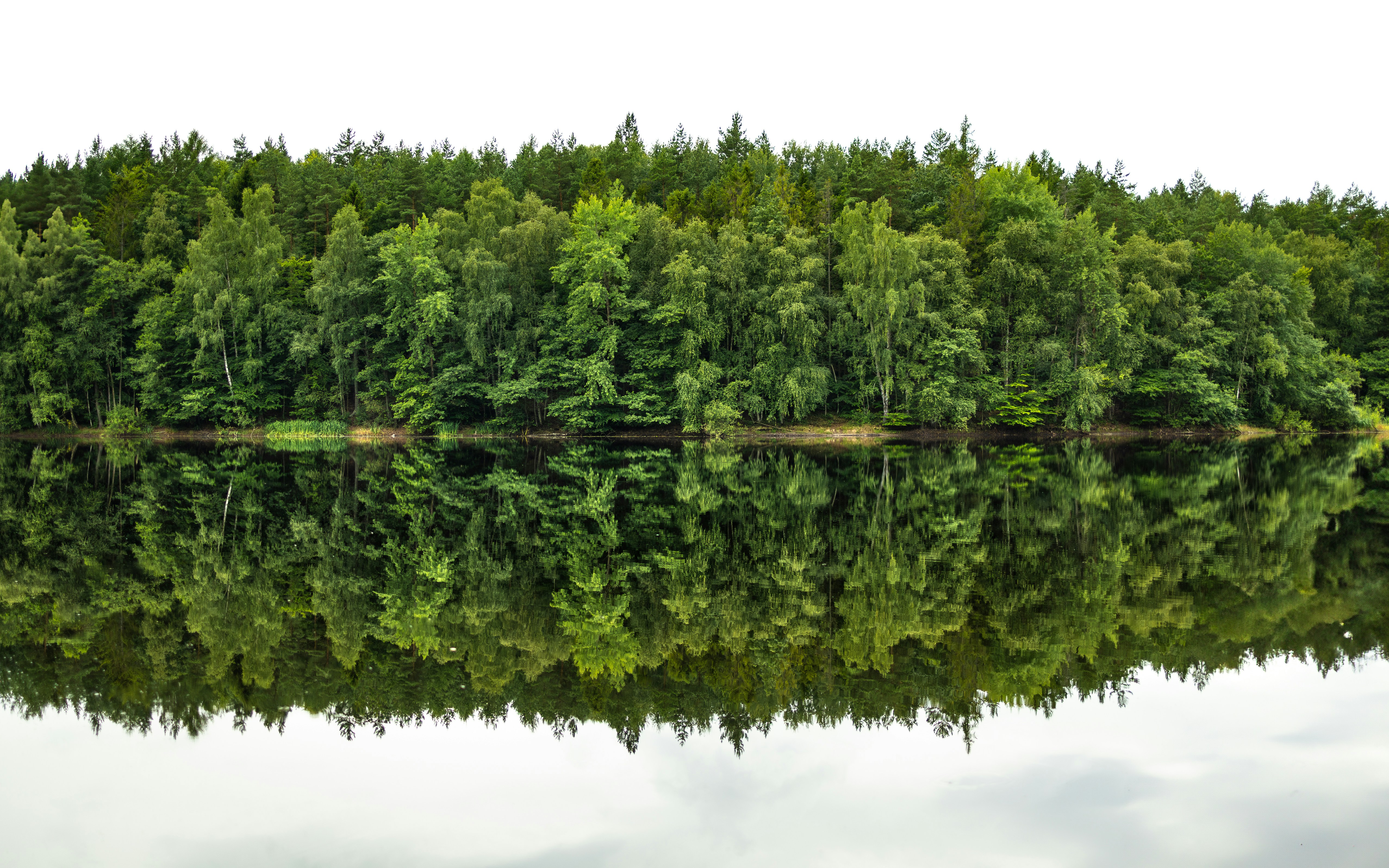 Photo by marekpiwnicki