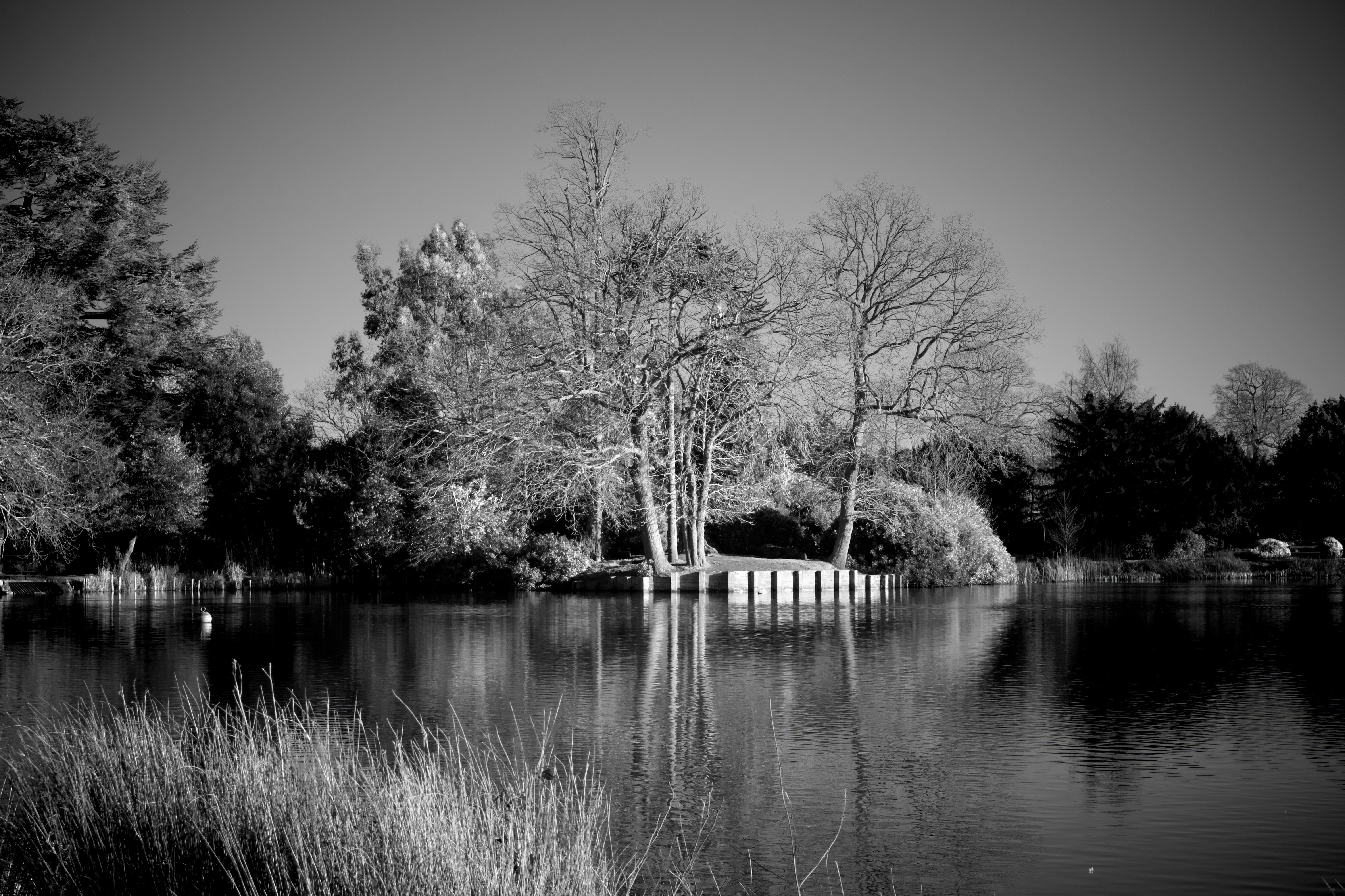 Photo by ashleygorringe