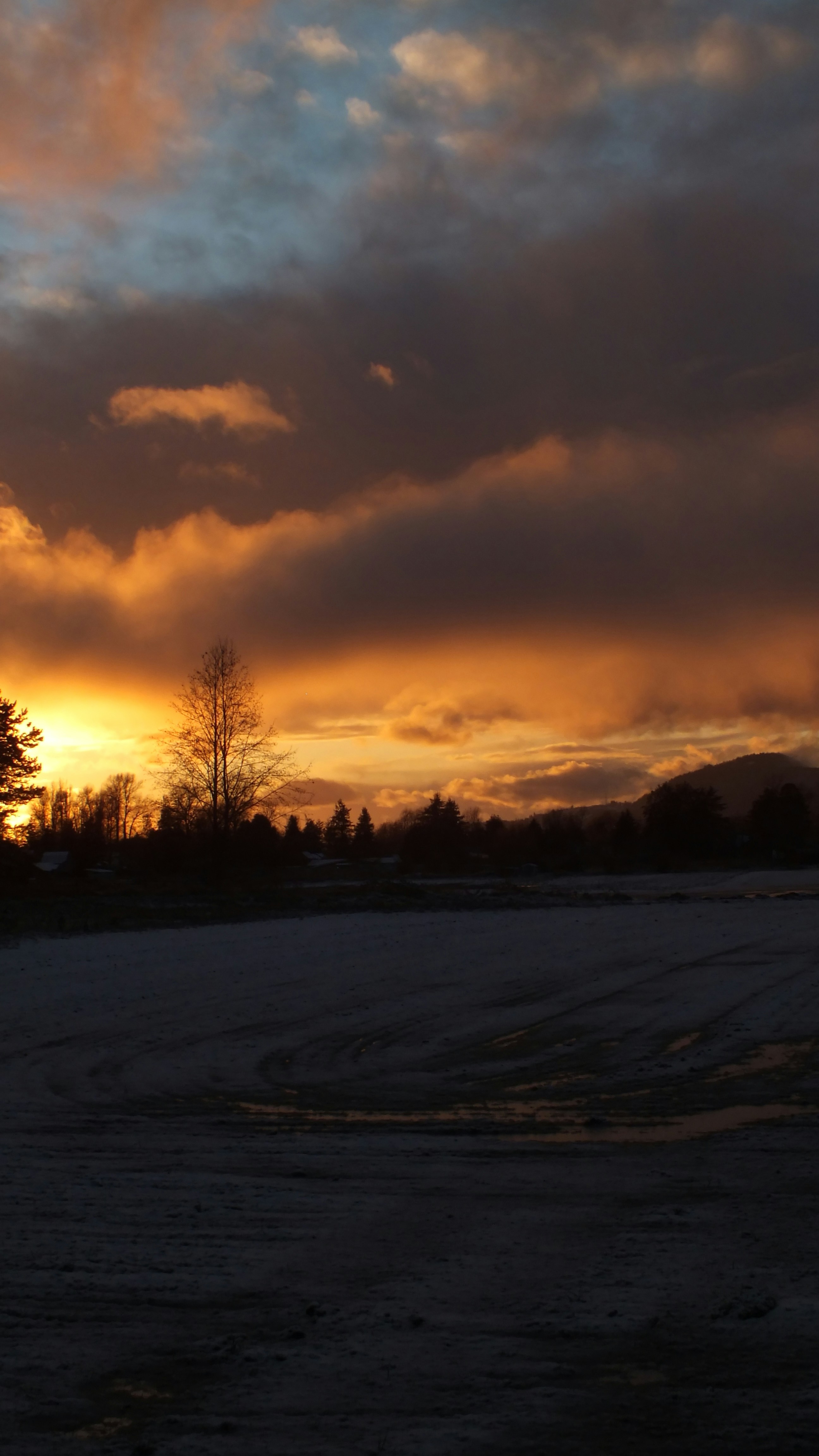 Photo by dylanrichard