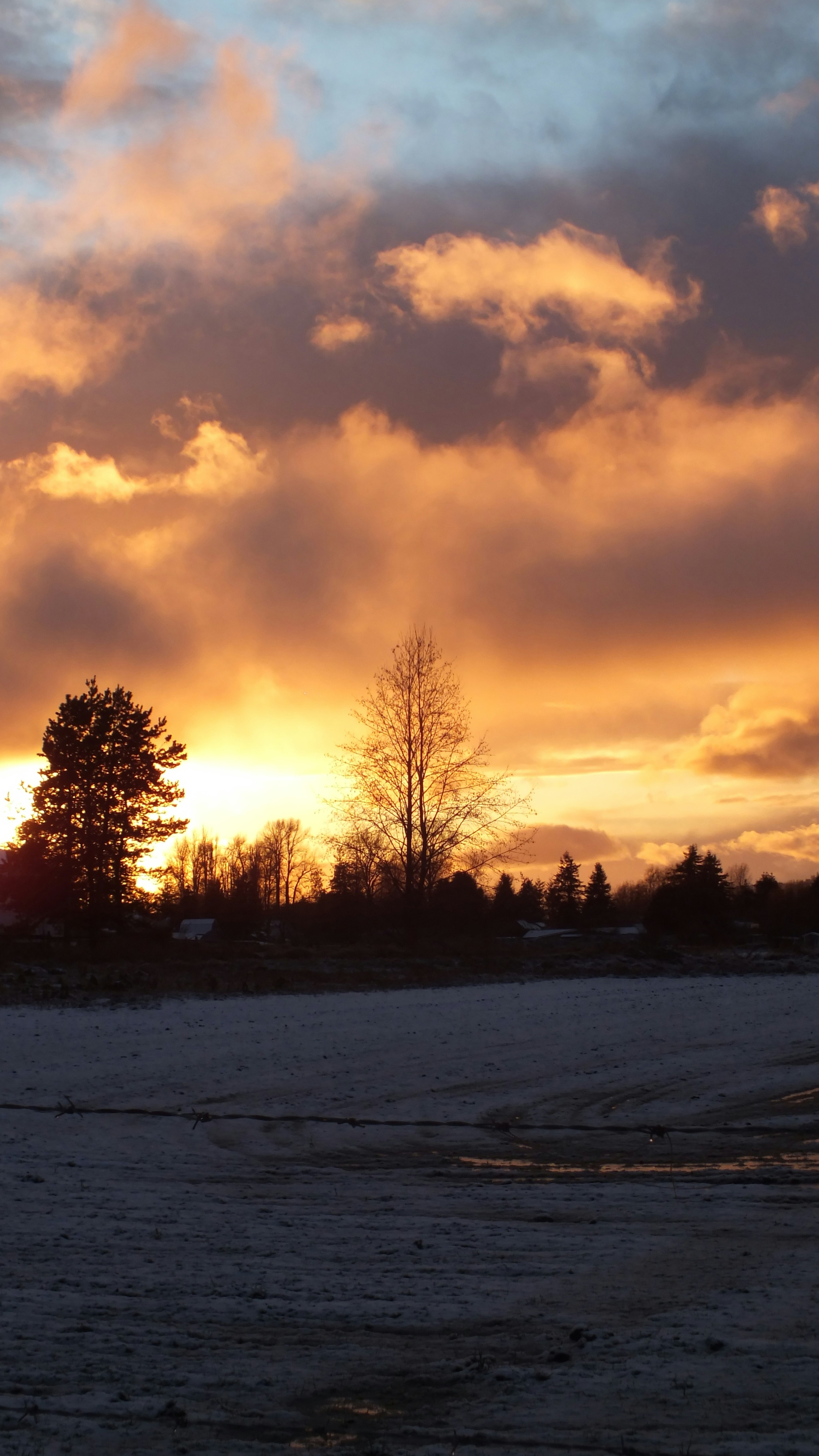 Photo by dylanrichard