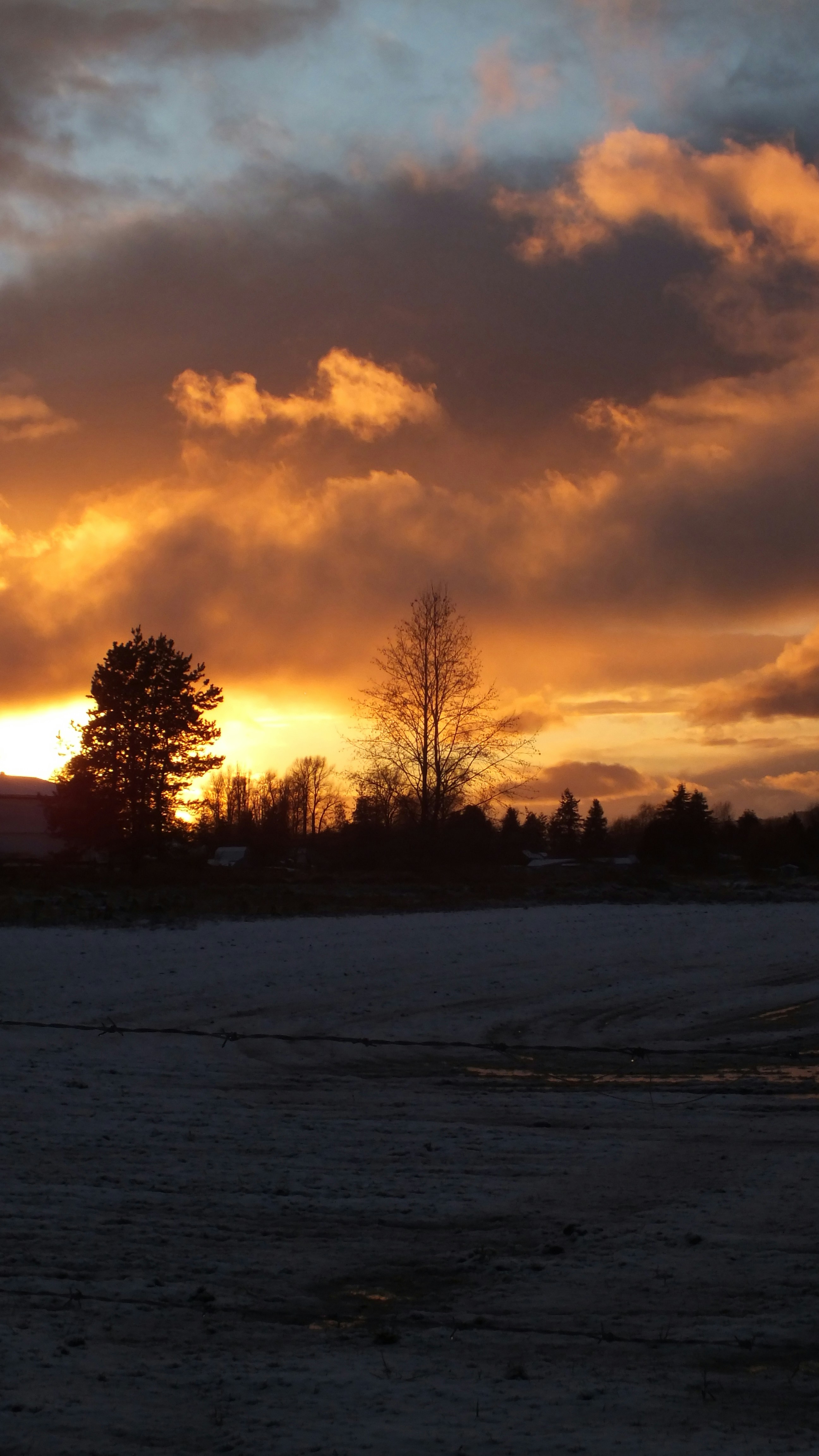 Photo by dylanrichard