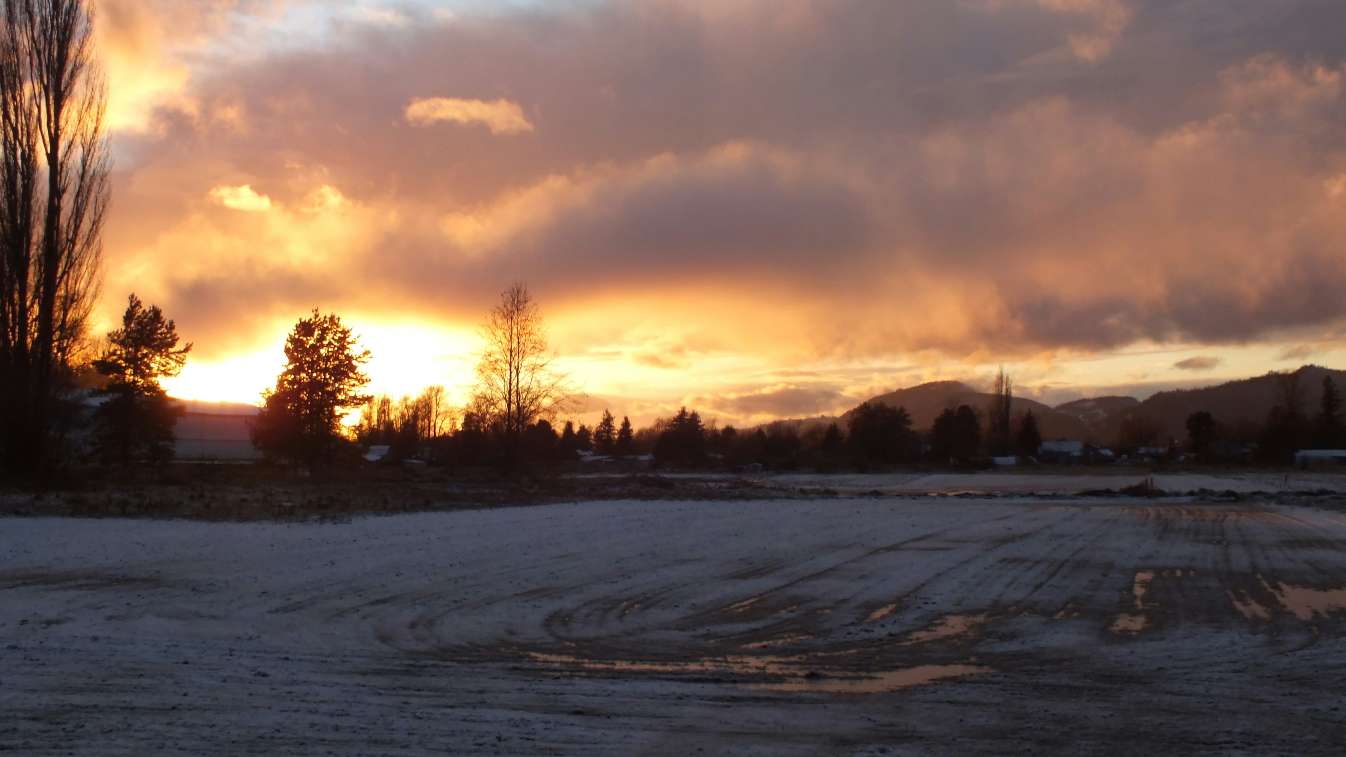 Photo by dylanrichard