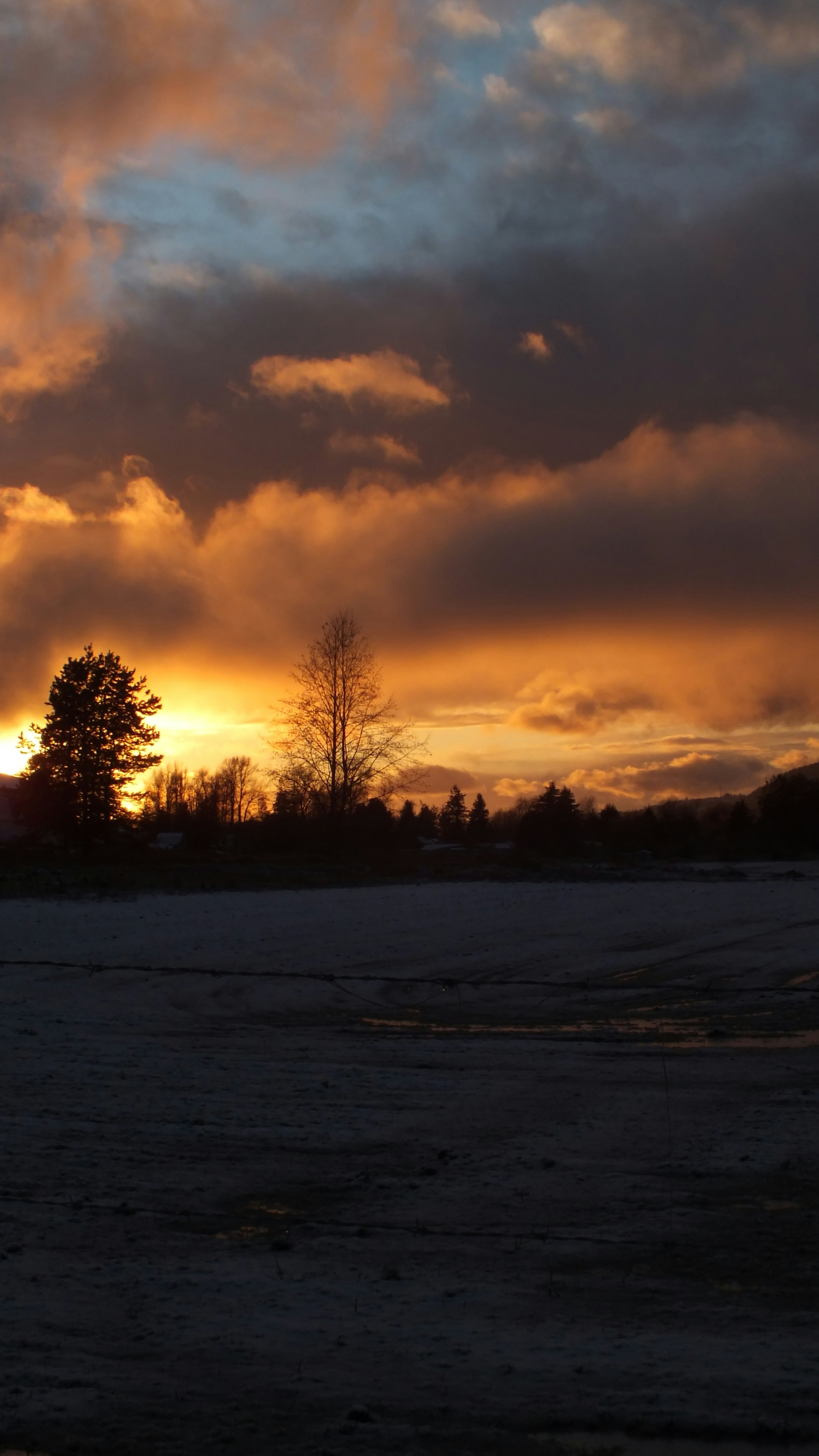 Photo by dylanrichard