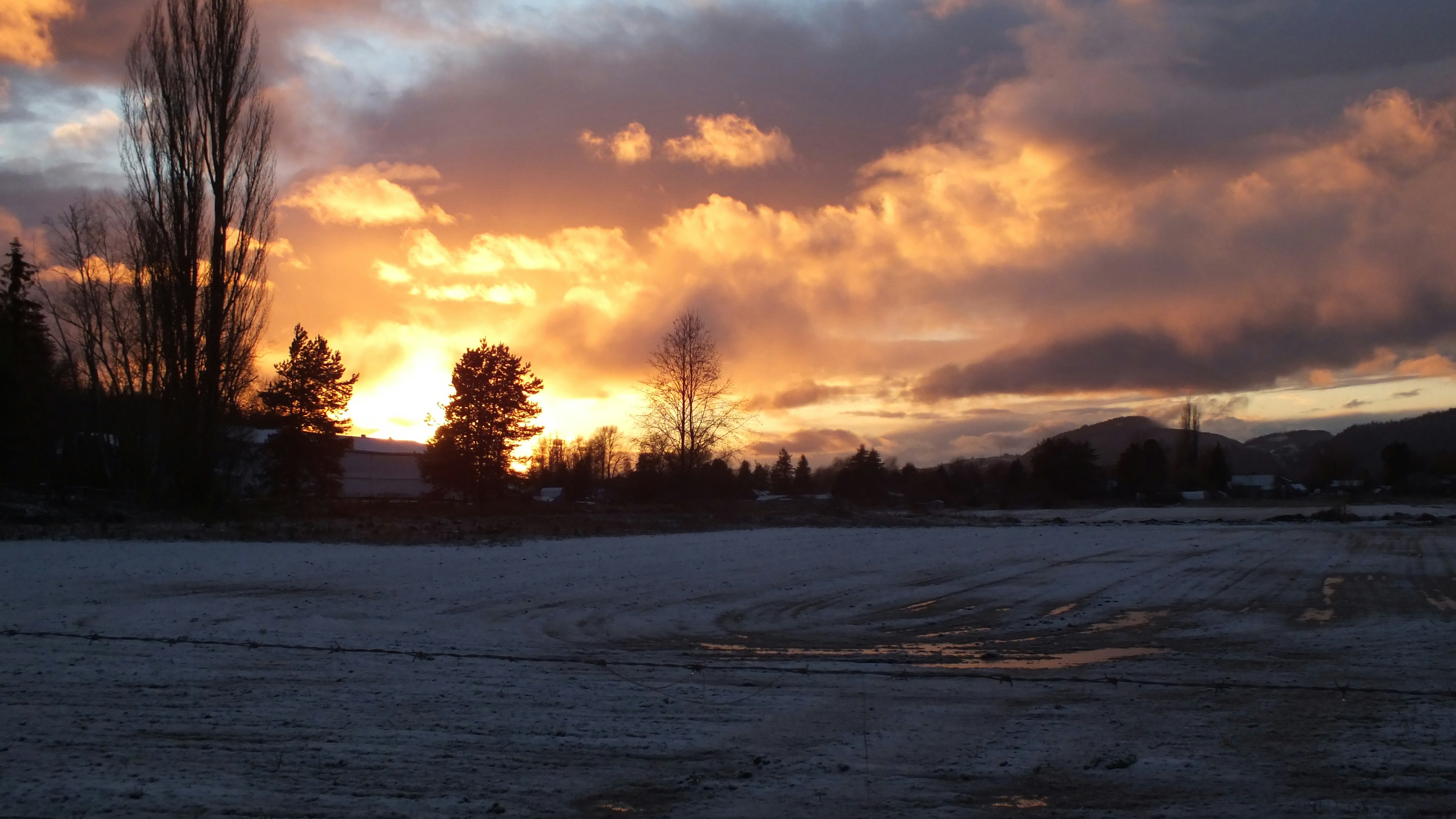 Photo by dylanrichard