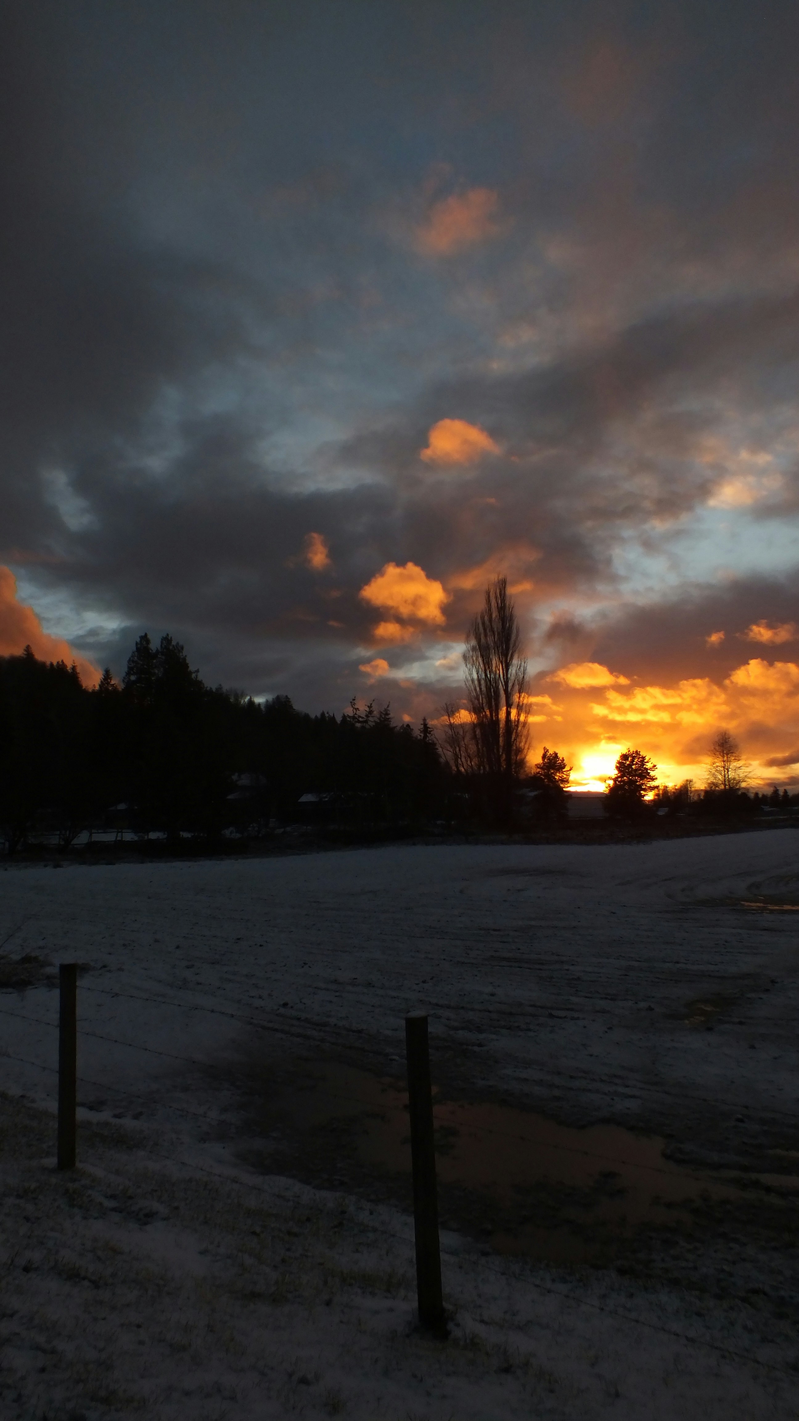 Photo by dylanrichard