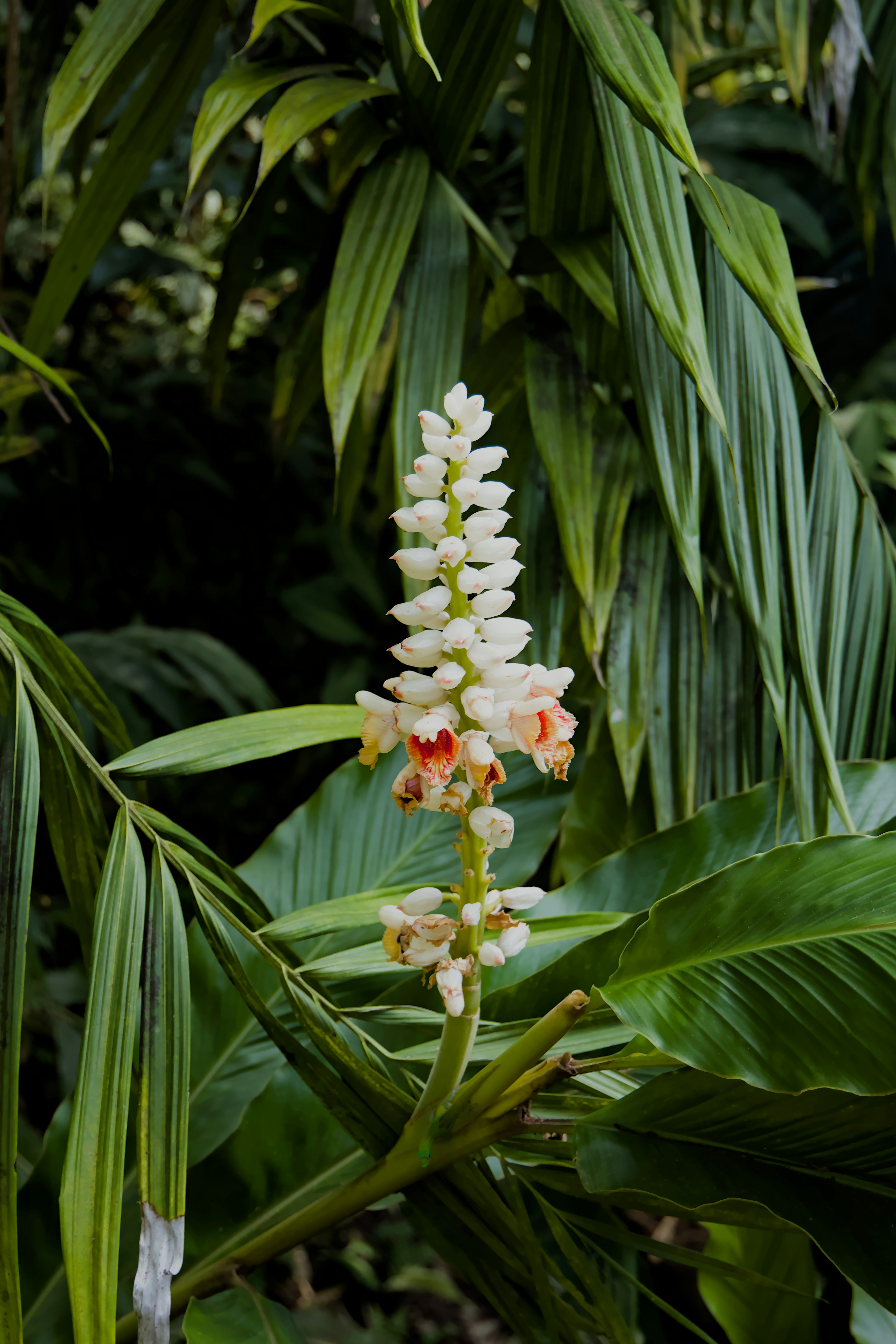 Photo by carbonmonoxide