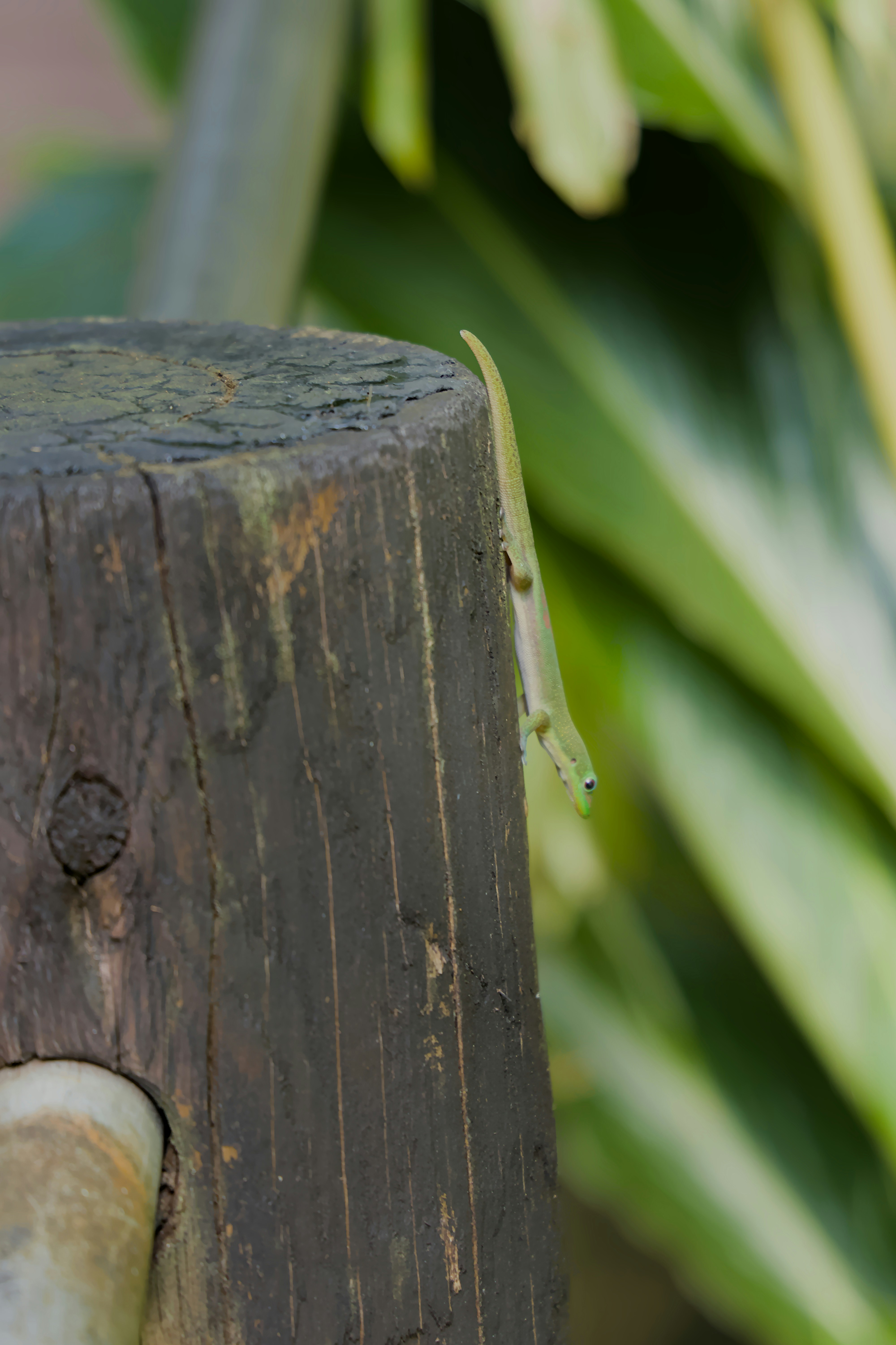 Photo by carbonmonoxide