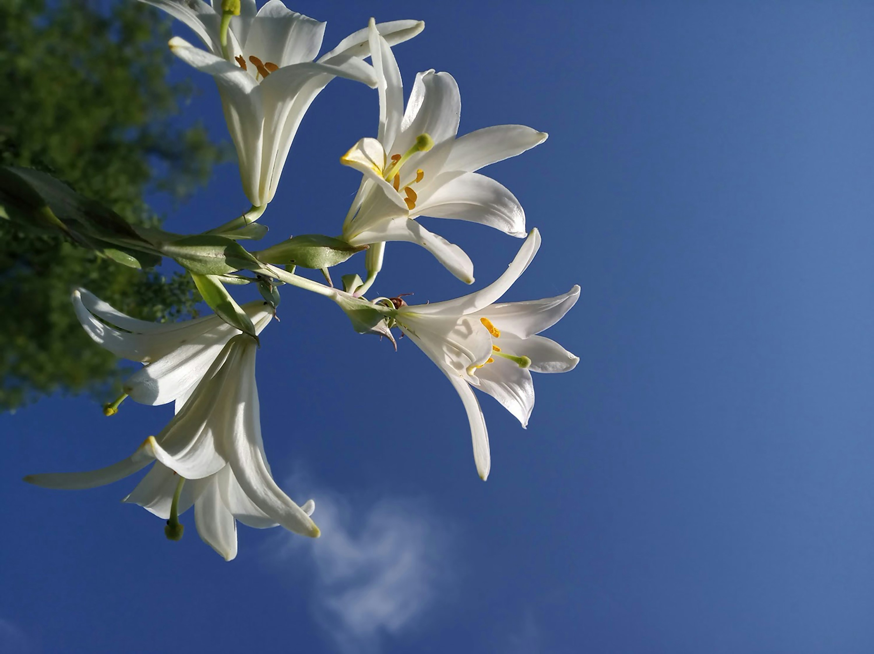 Photo by myroslavamatys