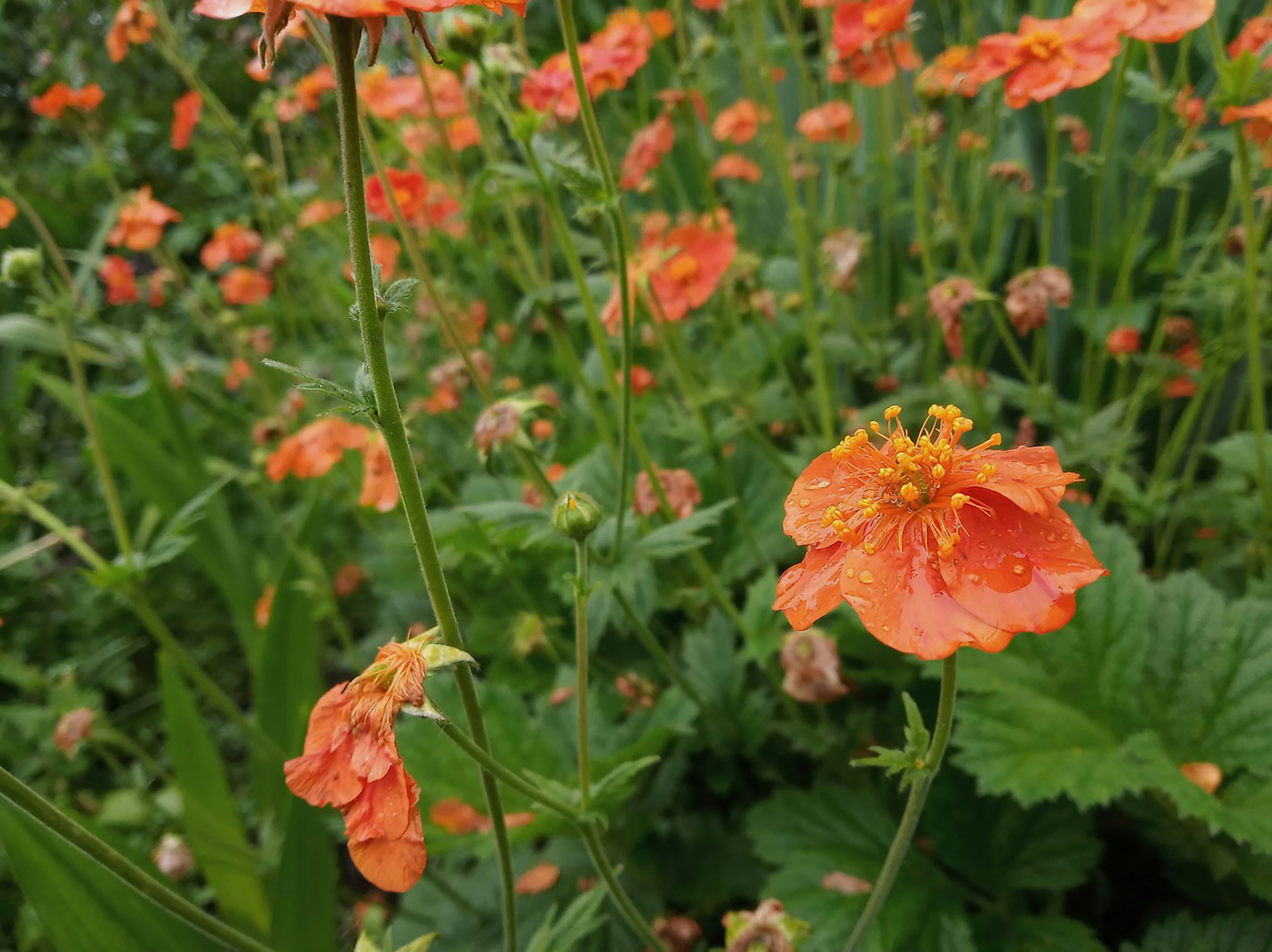 Photo by myroslavamatys