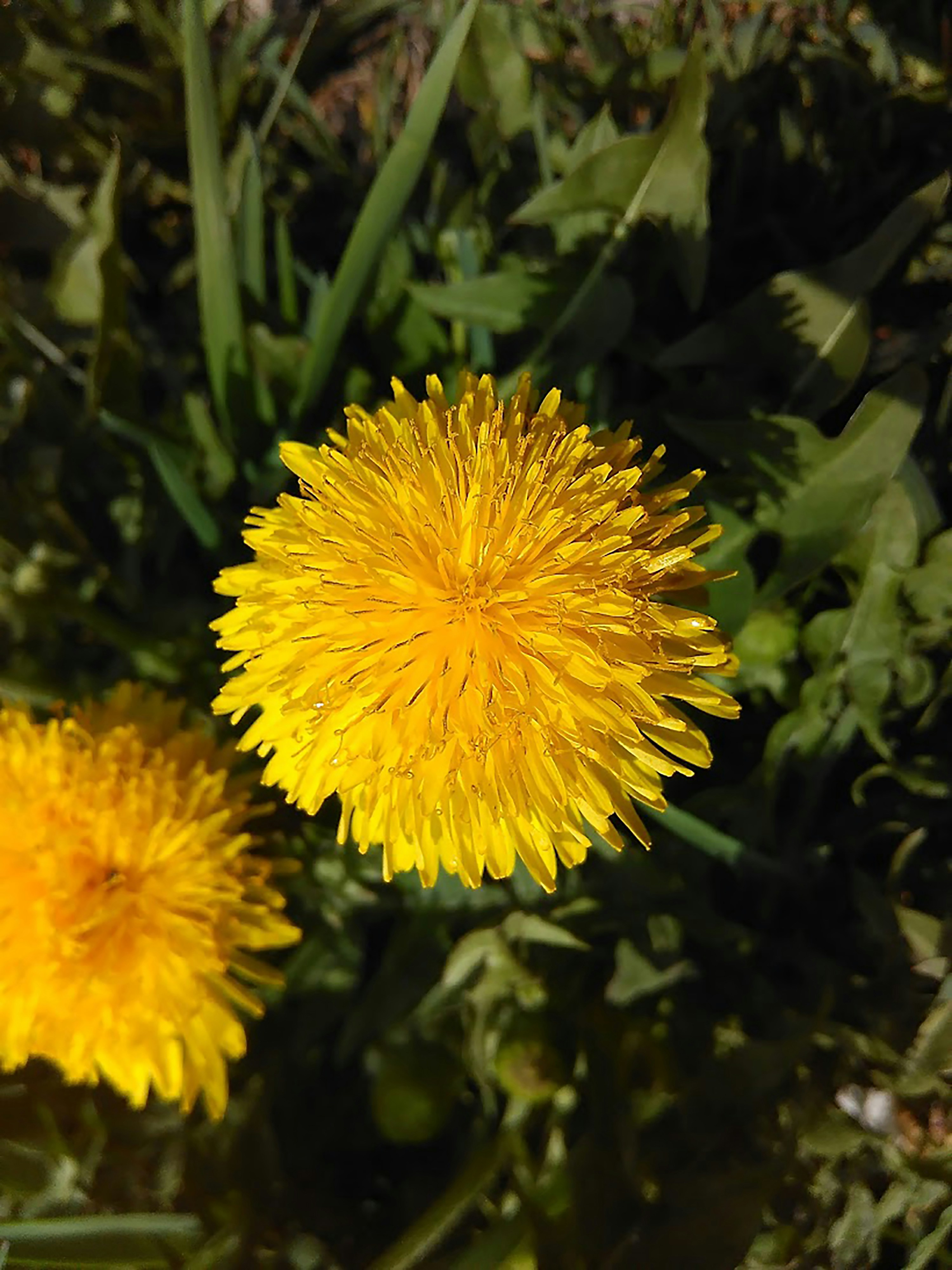 Photo by myroslavamatys