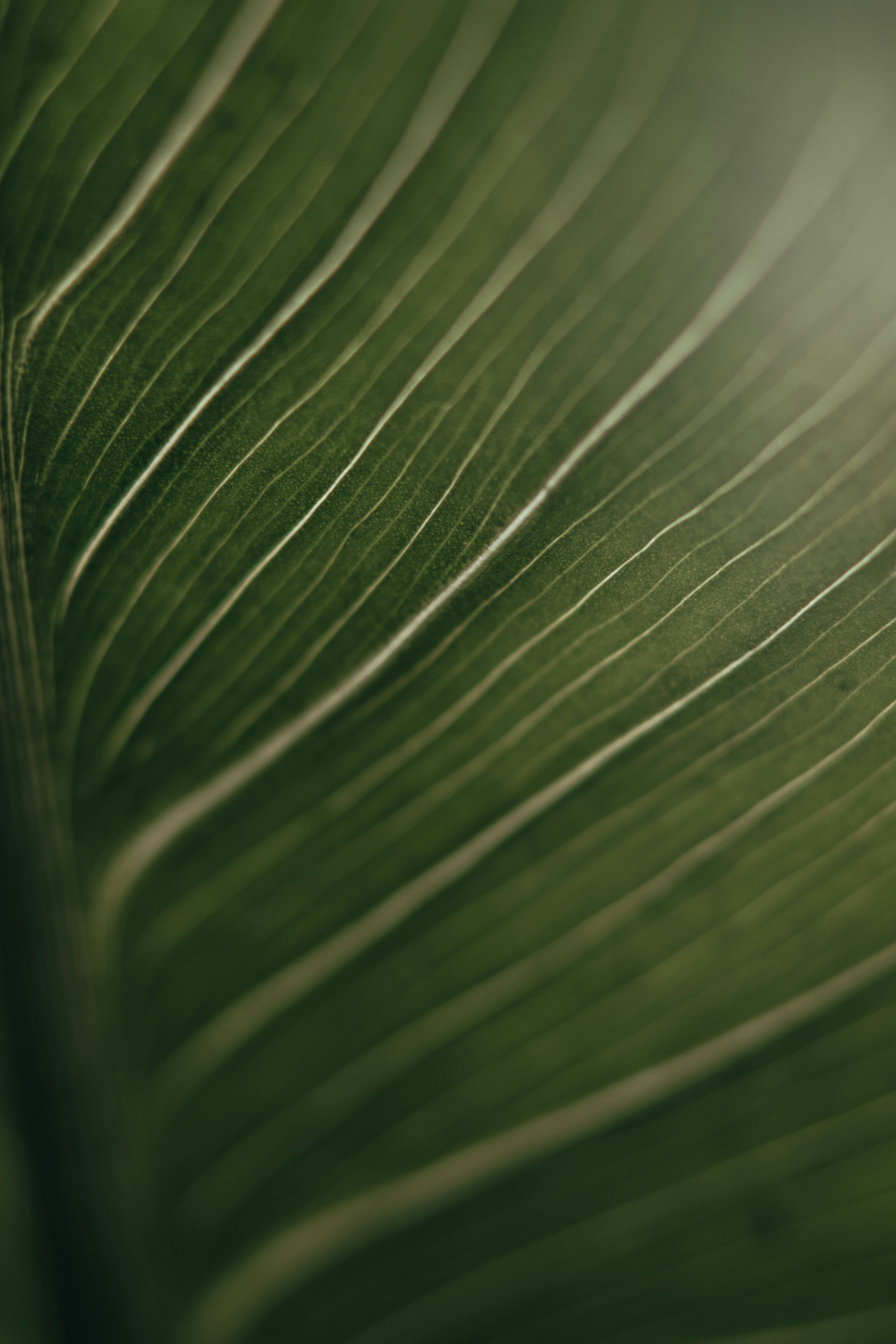 Photo by anamnesis33